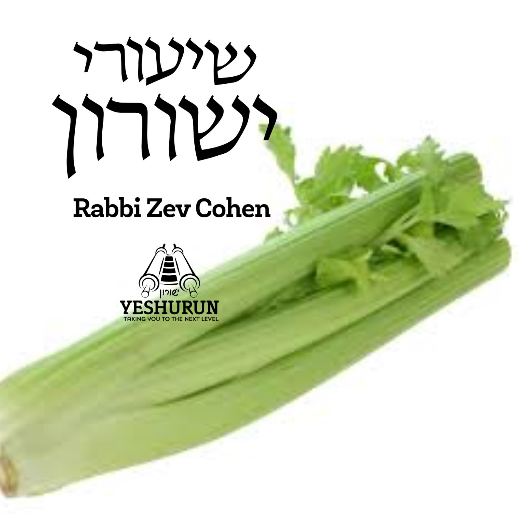 Shiurei Yeshurun - Rabbi Zev Cohen