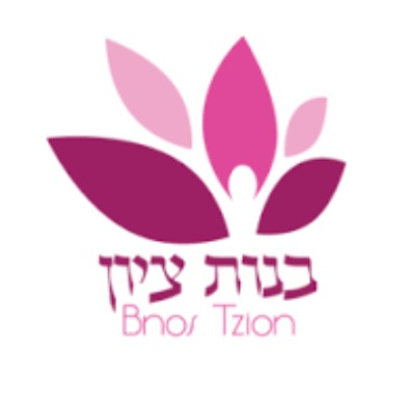 Bnos Tzion - R' Shmuel Schuman - Preparing Someone for Marriage and Work