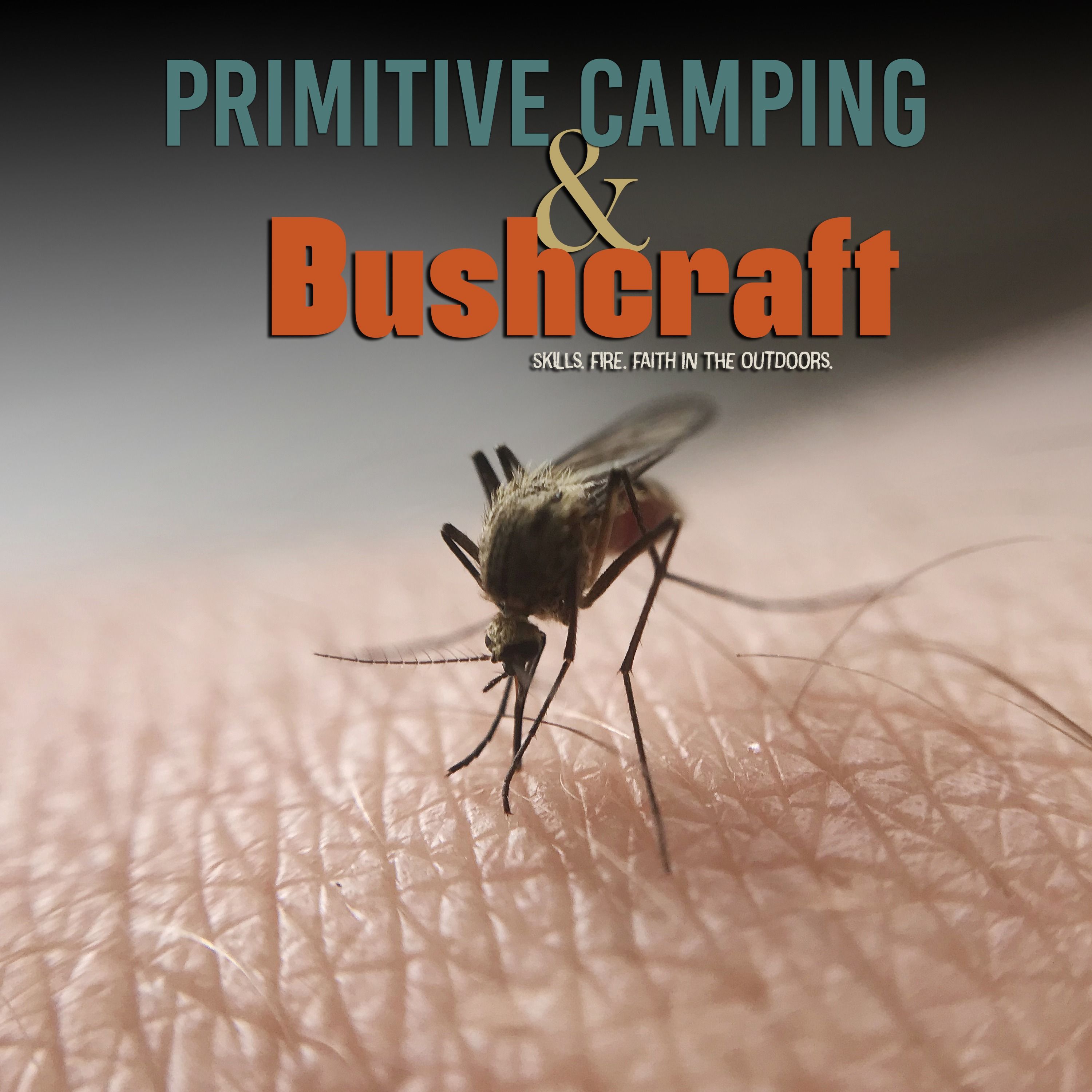 Mosquito Control: What Actually Works? episode artwork