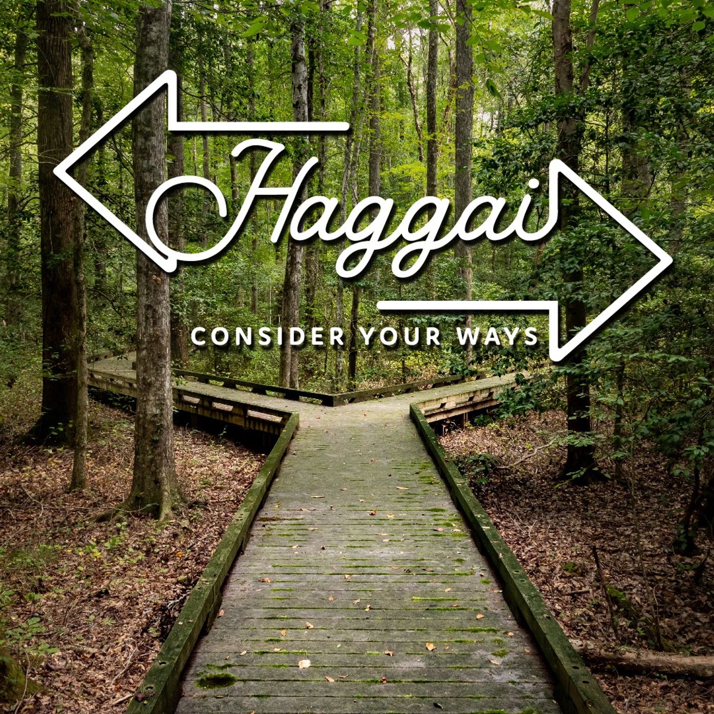 Haggai 1:1-11 || Consider Your Ways episode artwork