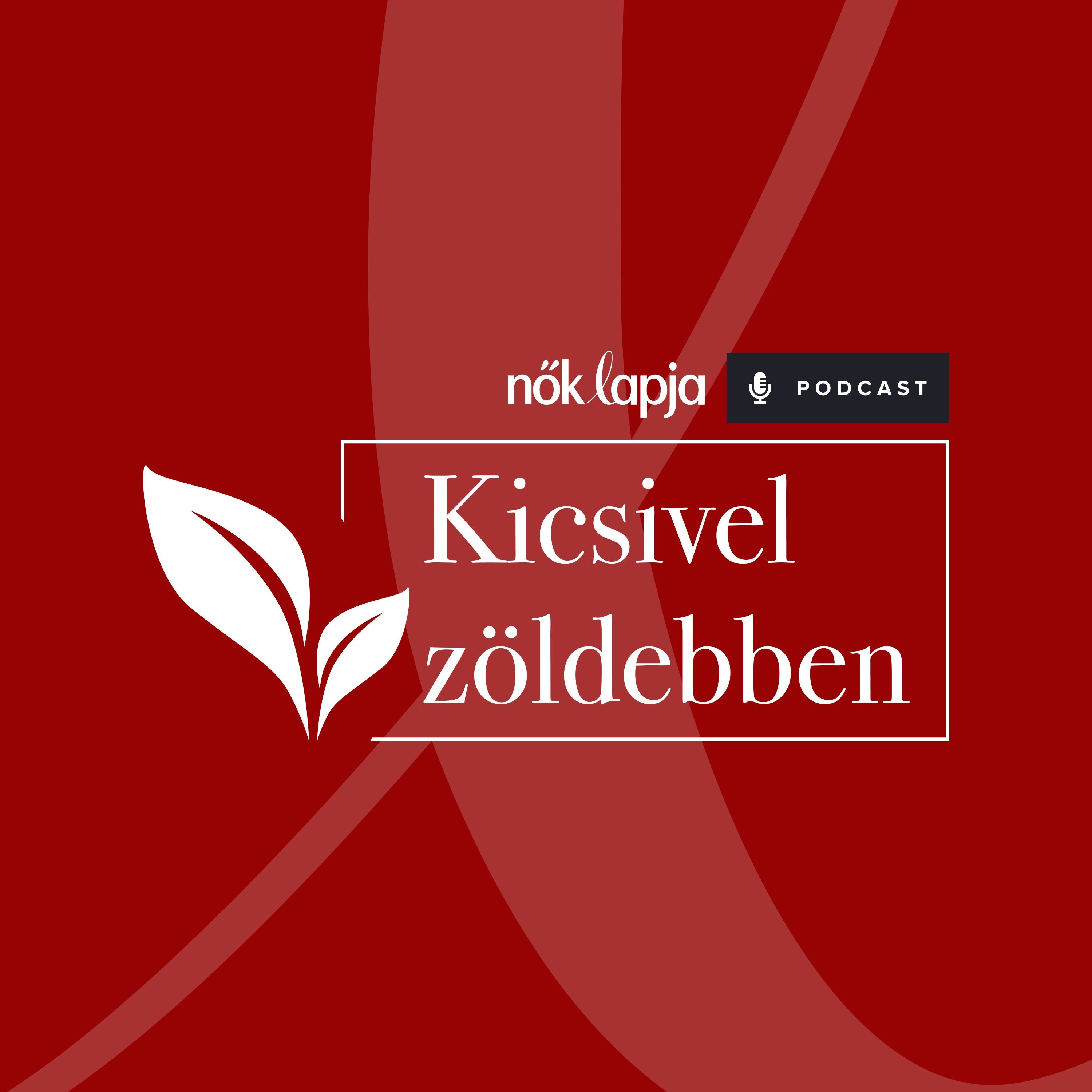 KICSIVEL ZÖLDEBB – Valahogy igazibb az egész! - a zöldségközösségek előnyei