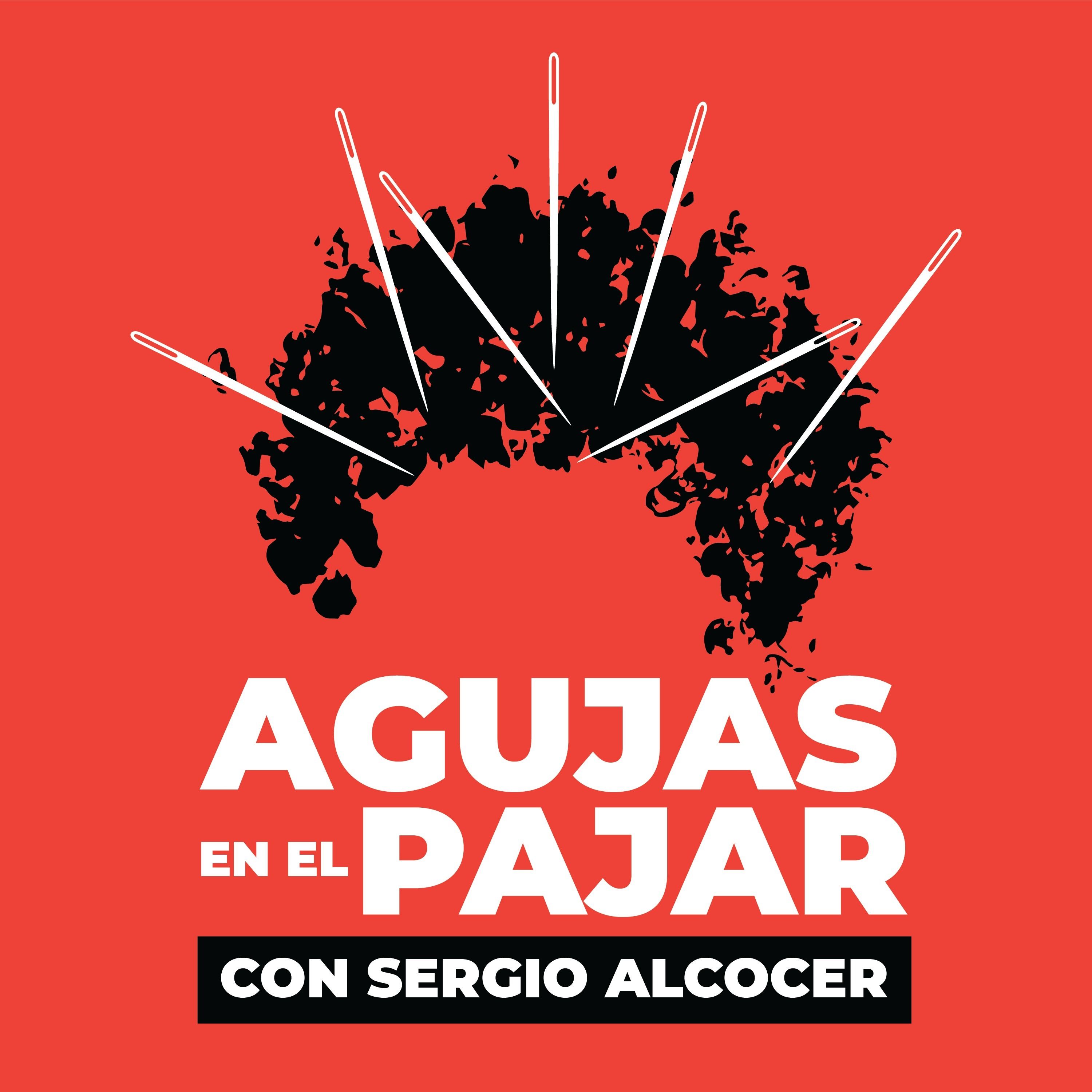 Agujas en el Pajar