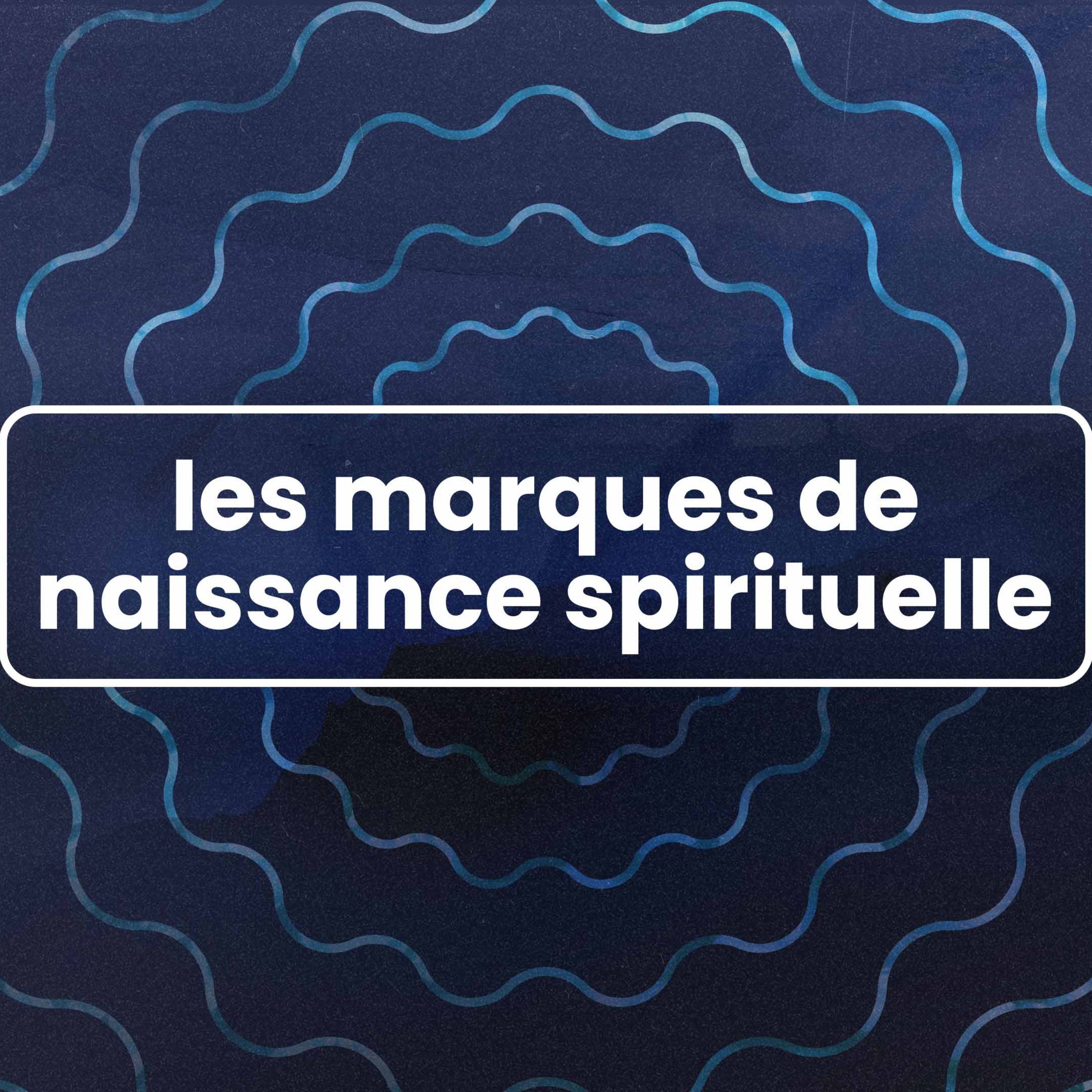 Les marques de naissance spirituelle (Spiritual Birthmarks) - Vérifié - Week 11 episode artwork