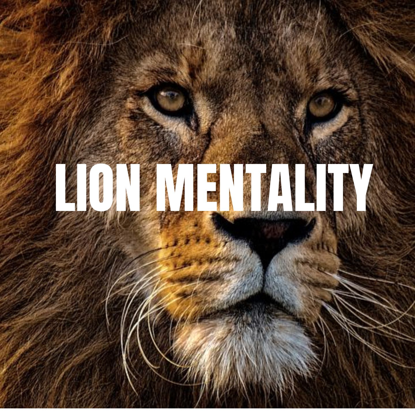 LION MENTALITY - Listen To This to Get Pumped Up Everytime