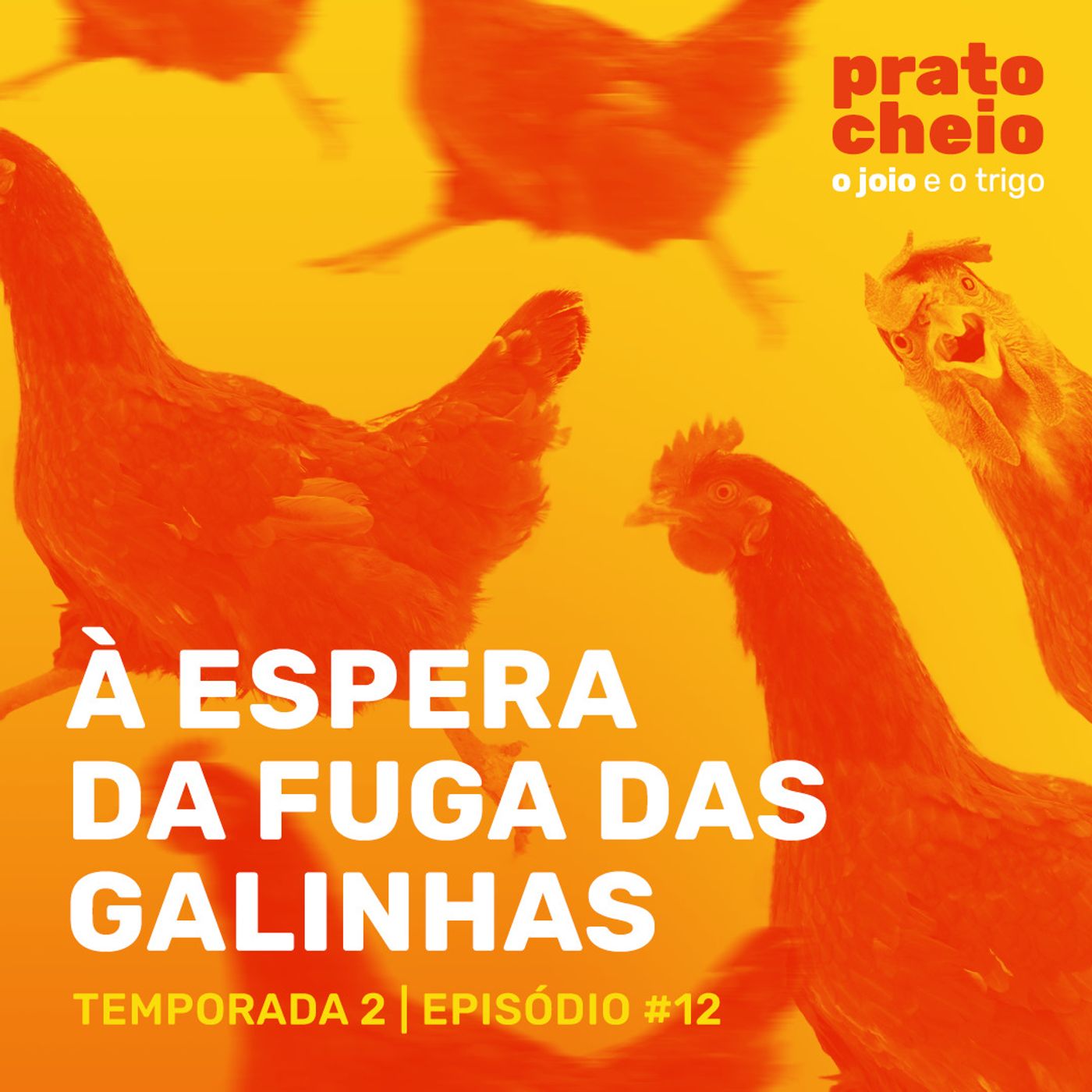 Prato Cheio