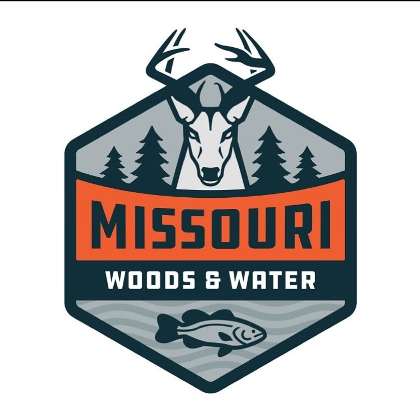 Missouri Woods & Water - A Buck Named Hollywood
