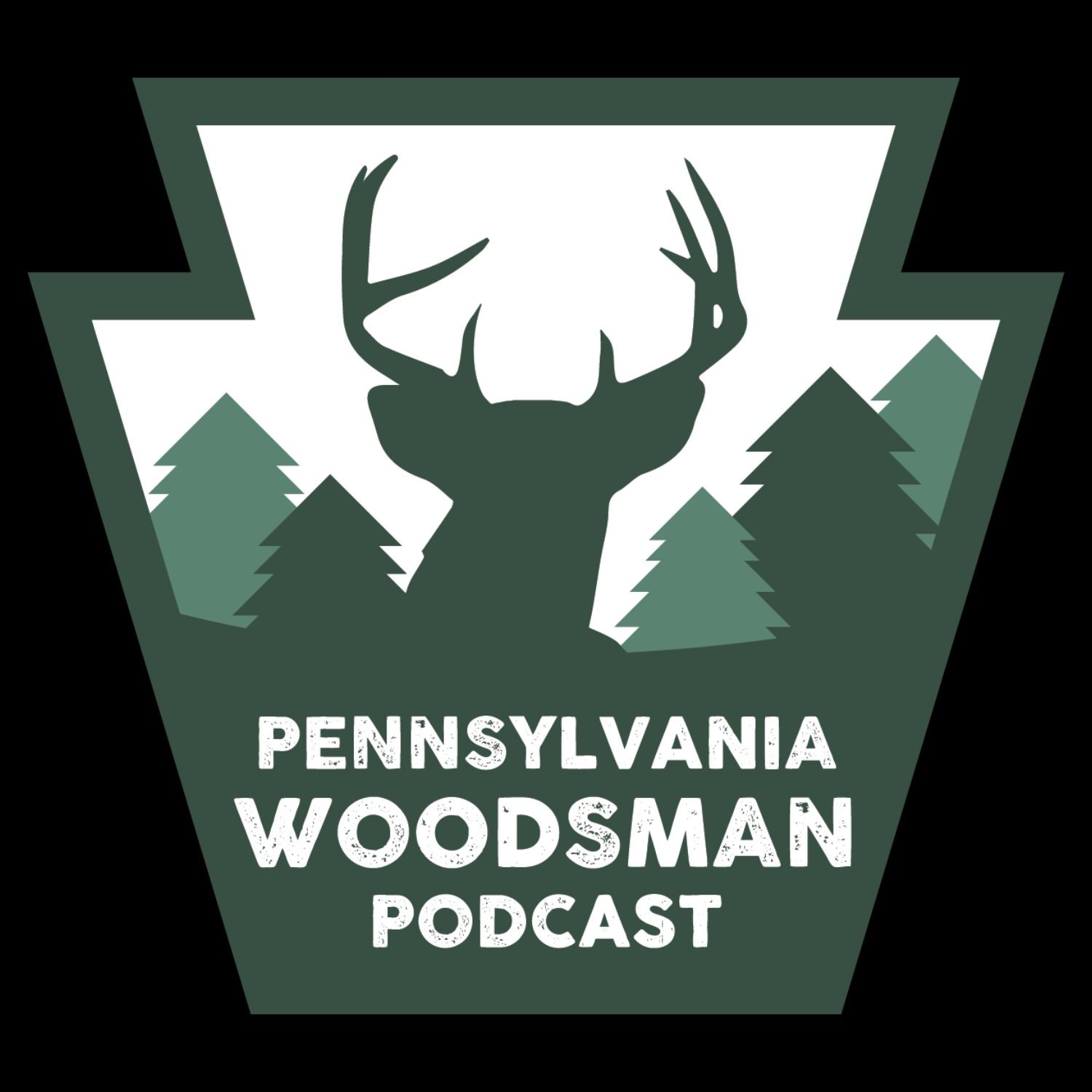 Pennsylvania Woodsman - Trout Fishing and Water Quality episode artwork