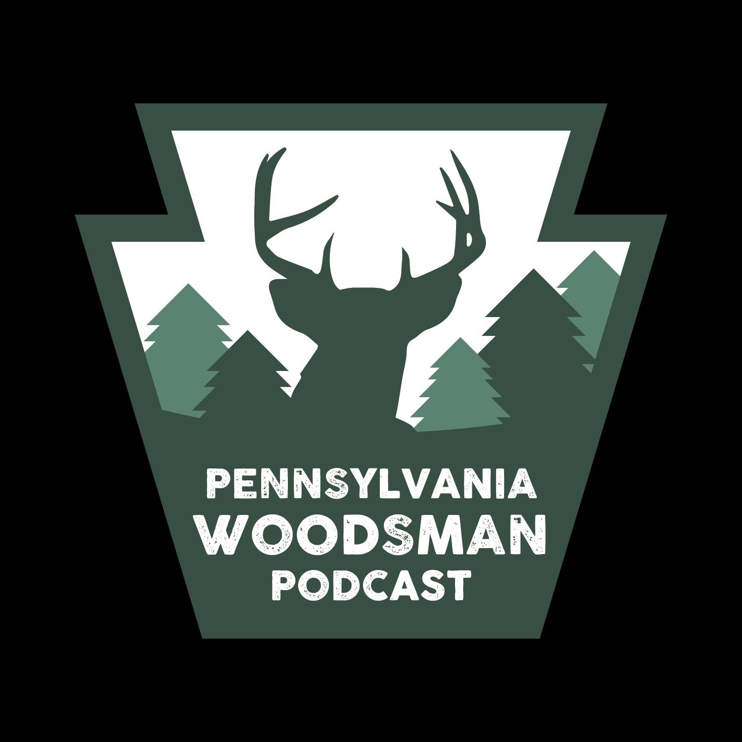 Pennsylvania Woodsman - Full Swing into Ice Fishing Season with Don Kelly episode artwork