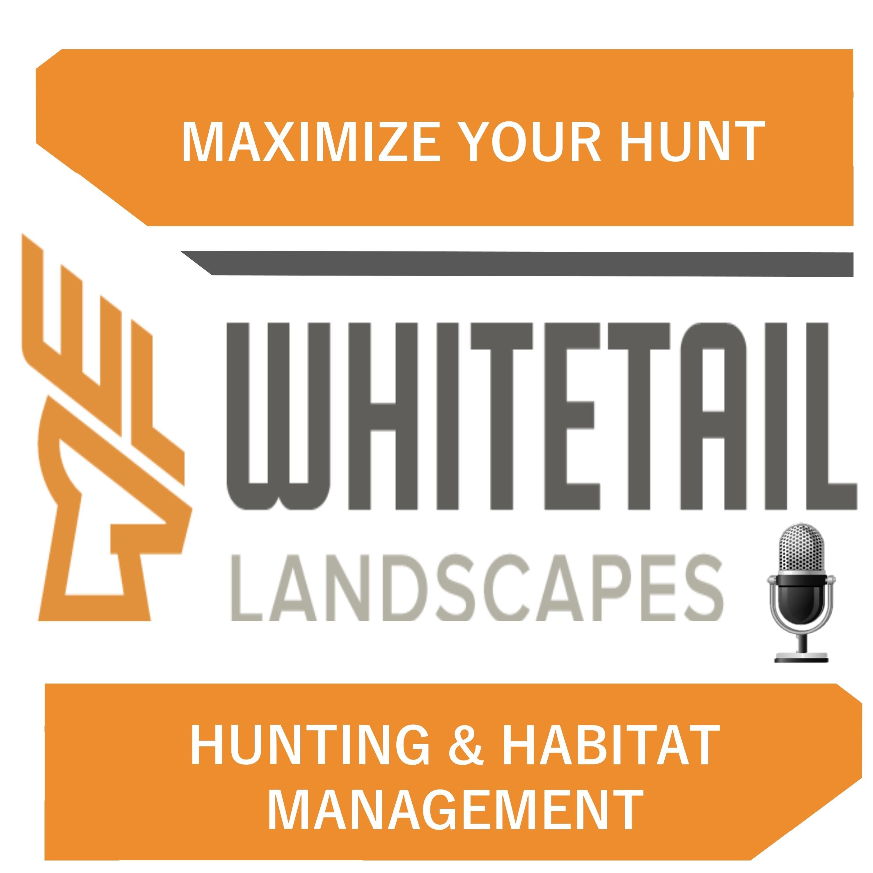 Maximize Your Hunt by Whitetail Landscapes