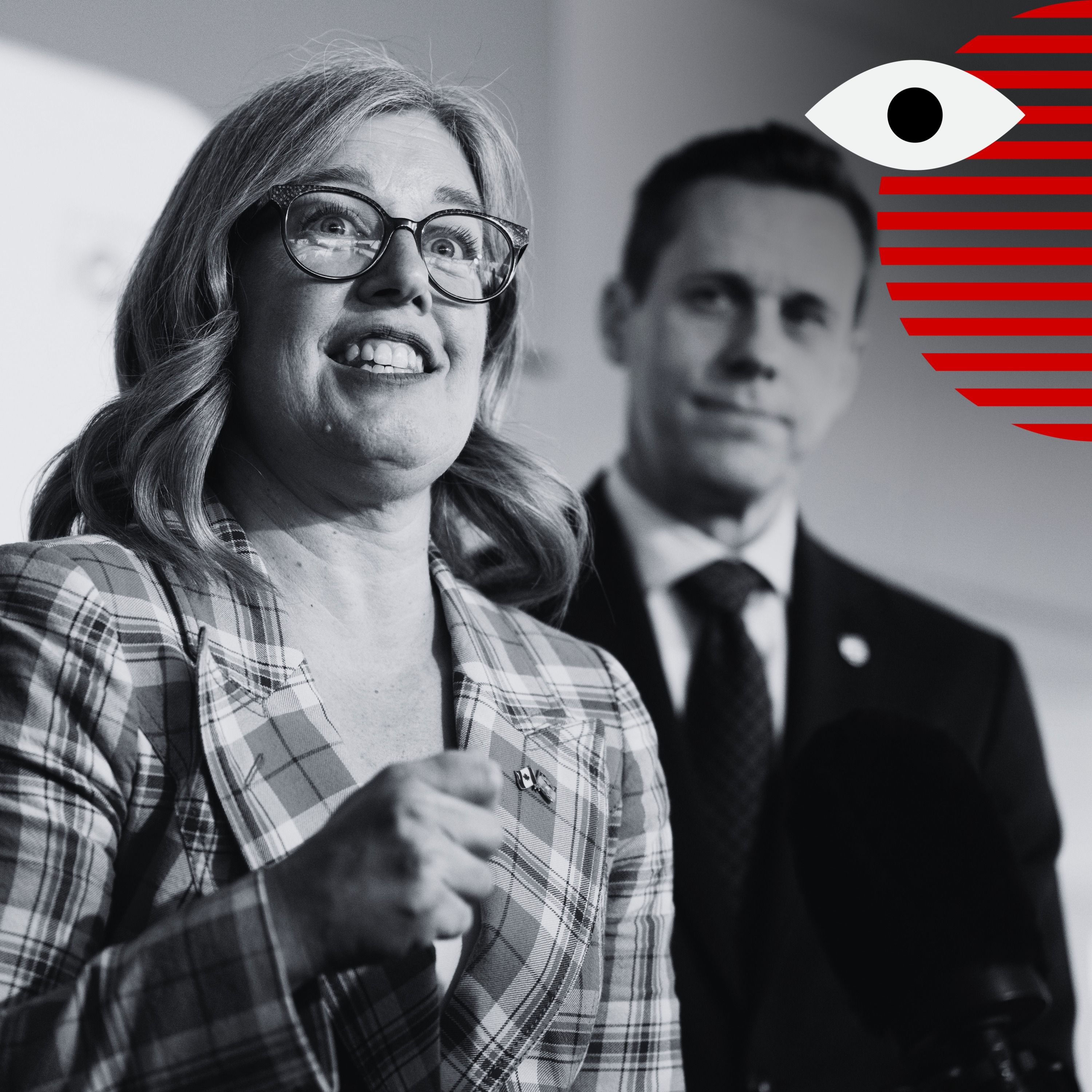 Can provincial Liberals make a come back?