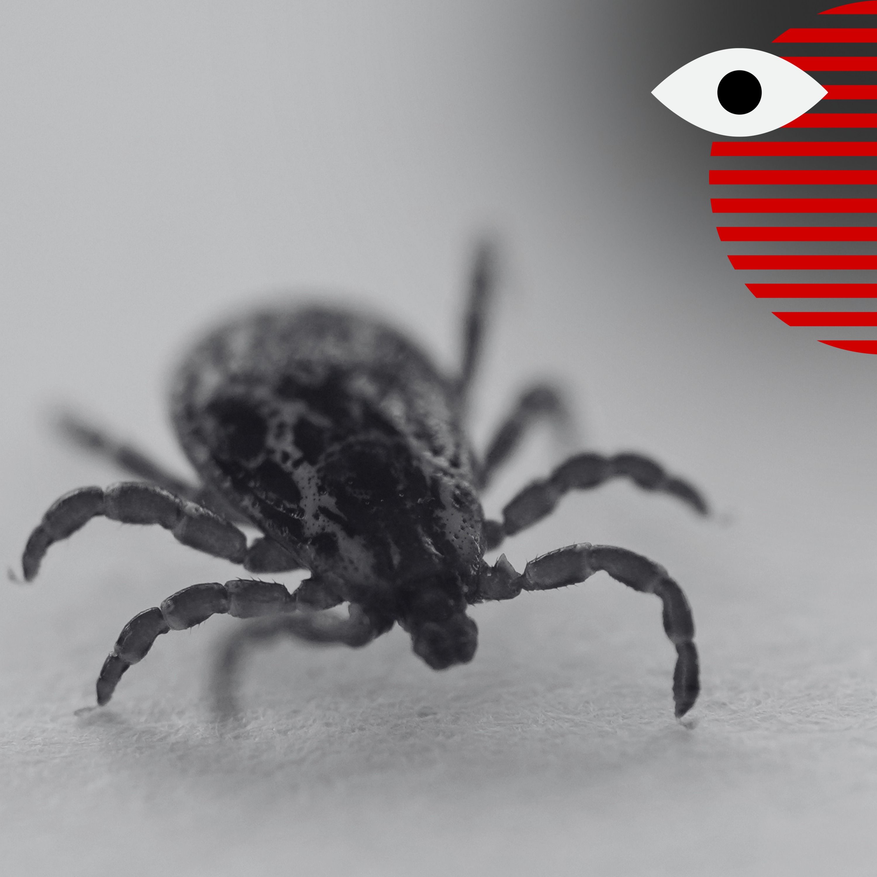 Canada is facing a very real threat...of ticks episode artwork