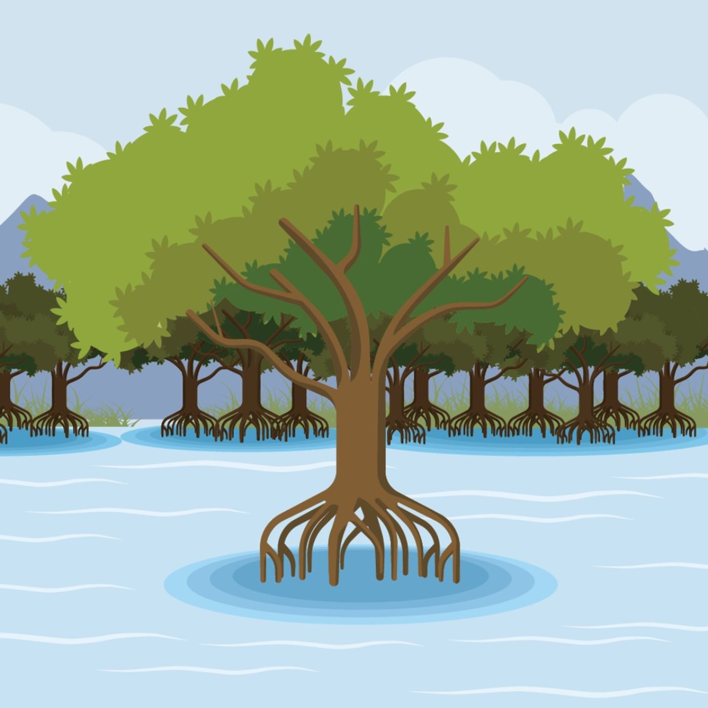 What an Ivorian community gave up to protect their mangroves