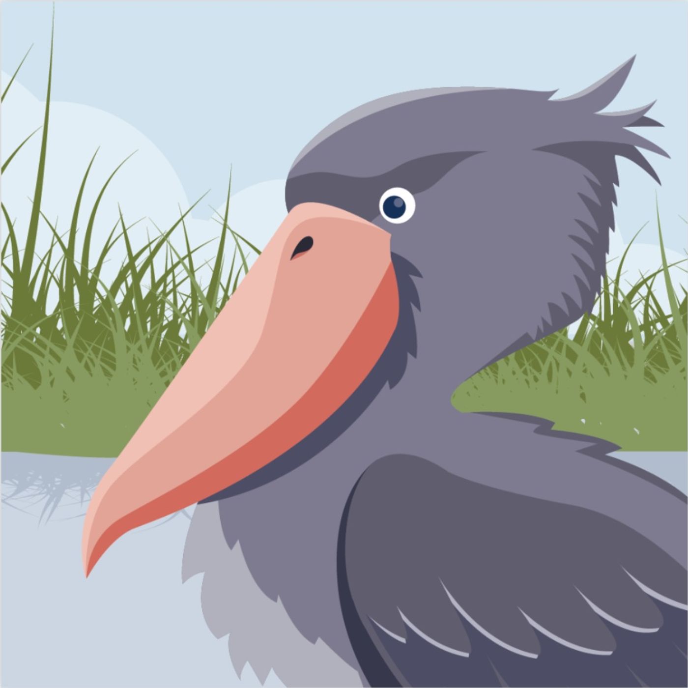 How the once-polluted Mabamba swamp became a haven for rare birds