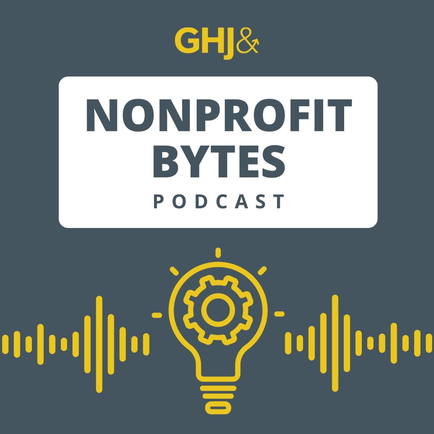 Nonprofit Bytes cover art