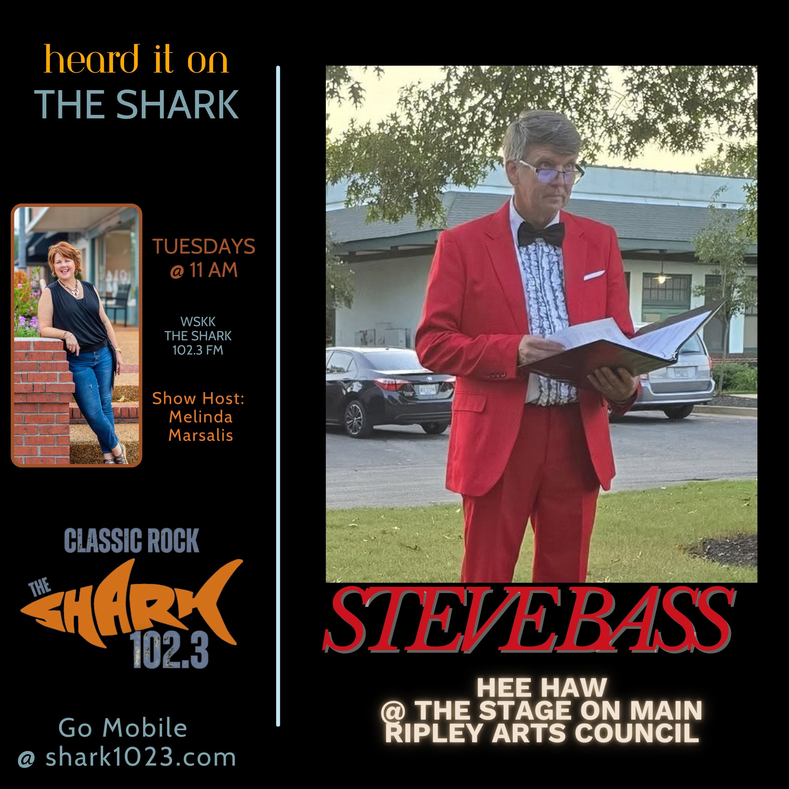 Steve Bass: Hee Haw at The Stage On Main episode artwork