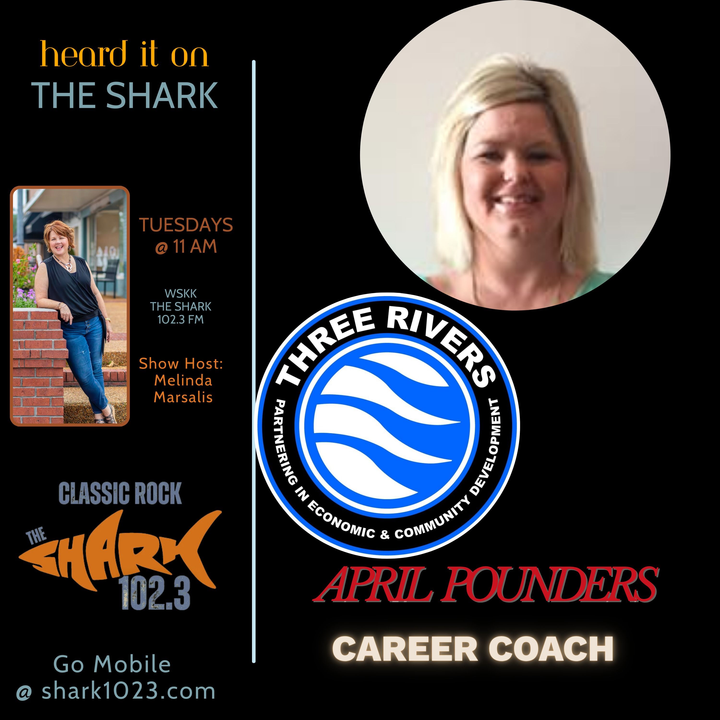 Career Coach Series Part 1 - April Pounders episode artwork