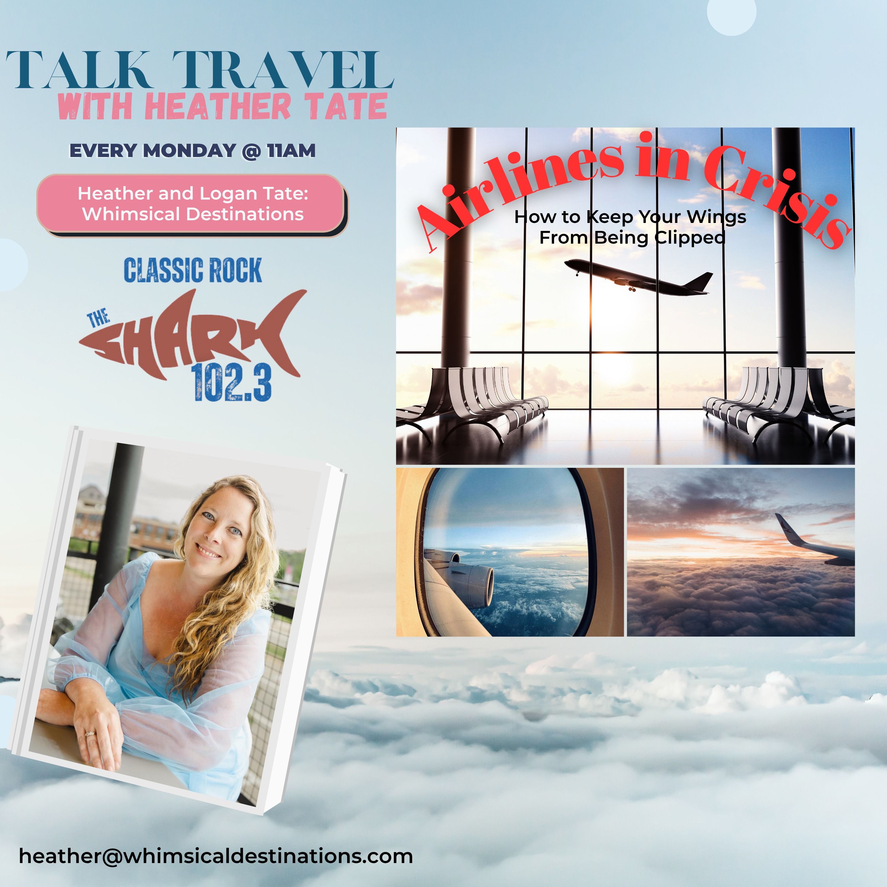 Airlines in Crisis: How to Keep Your Wings from Being Clipped episode artwork