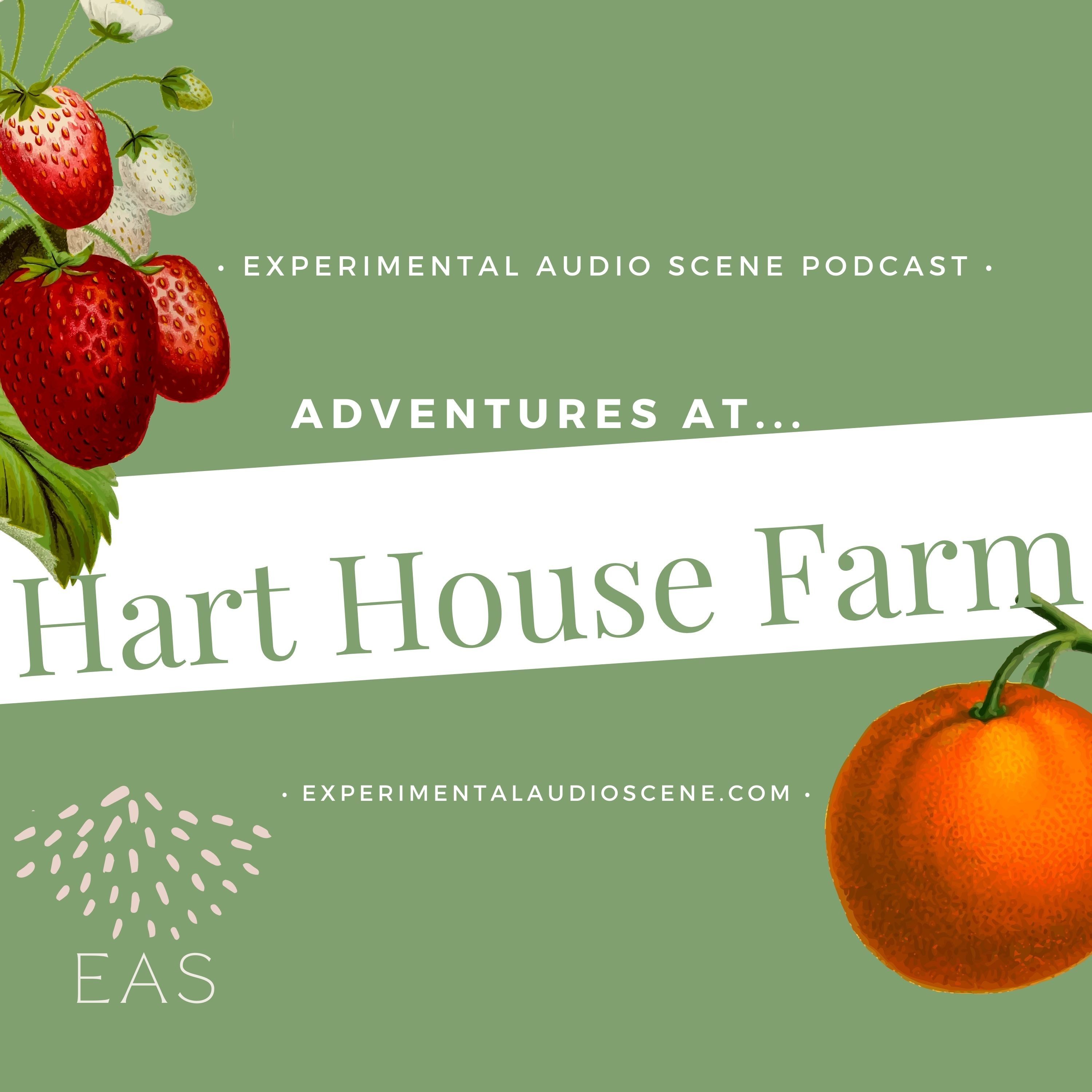 Adventures at Hart House Farm