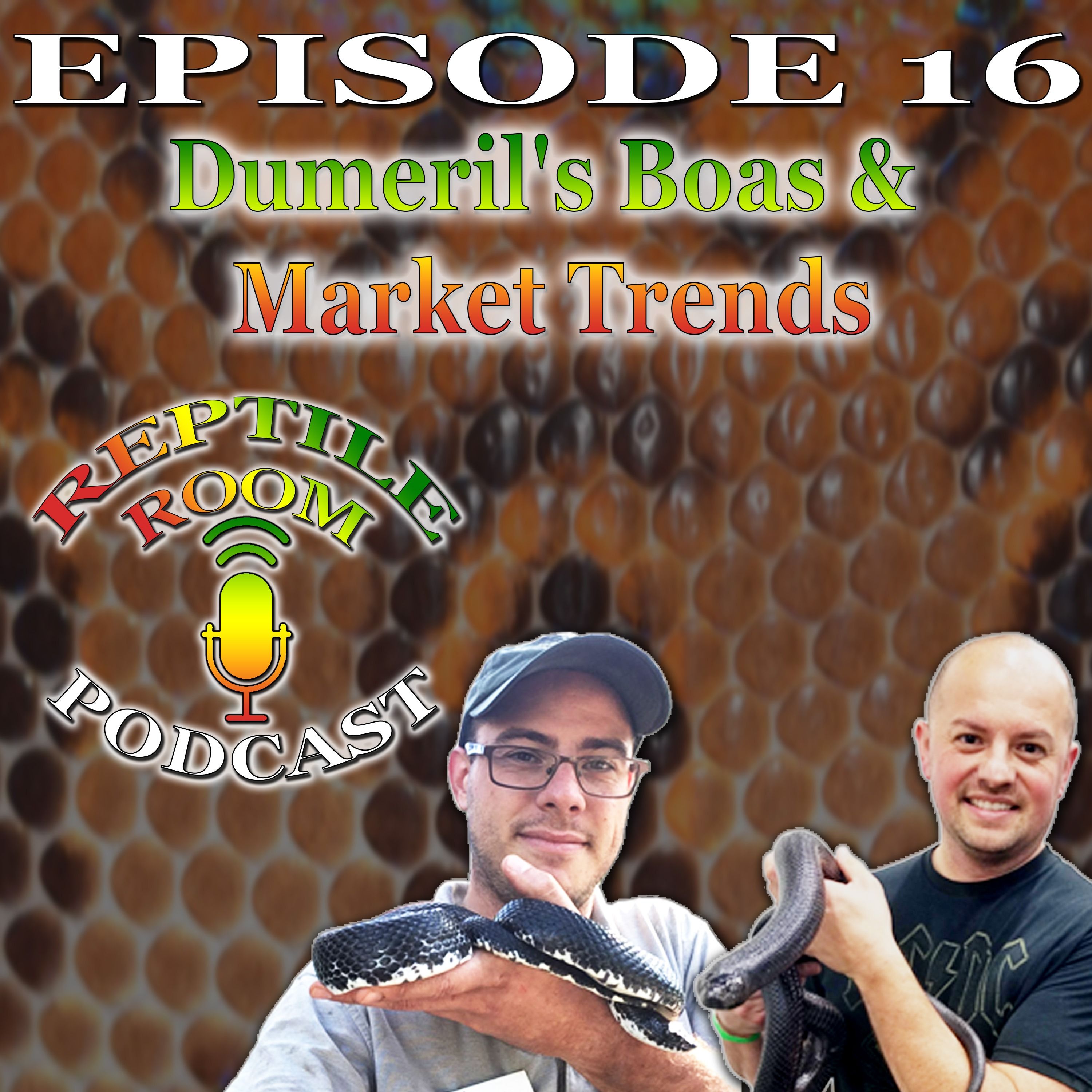 Episode 16 - Dumeril's Boas, Market Trends, and Andy's Back! episode artwork
