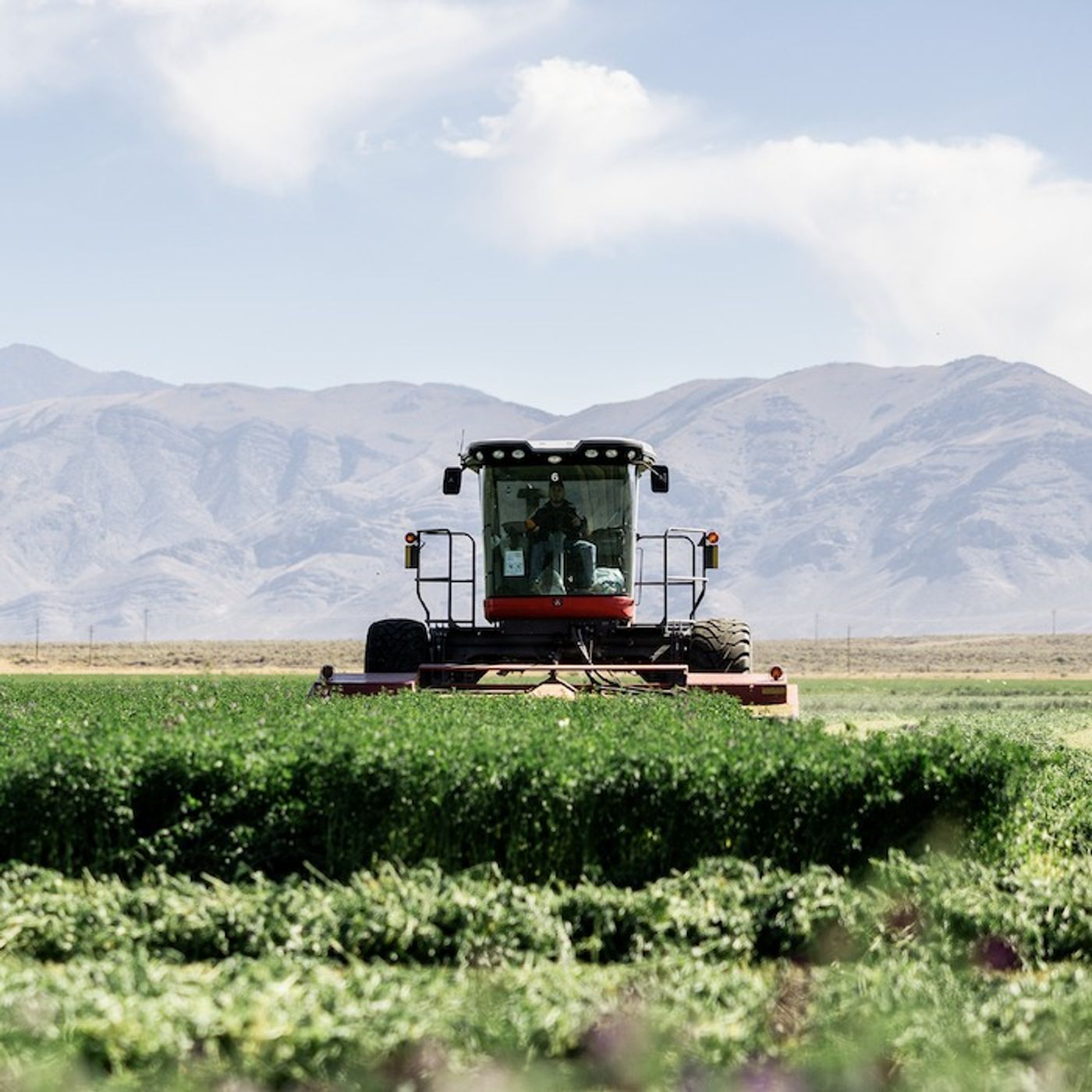 Ep. 104: From Field to Shelf – The Hidden Work Behind Standlee’s Premium Quality Hay