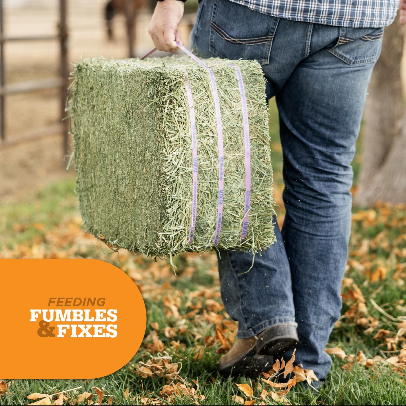 Ep. 108: 4 Simple Ways to Stretch Your Hay Supply Without Sacrificing Nutrition