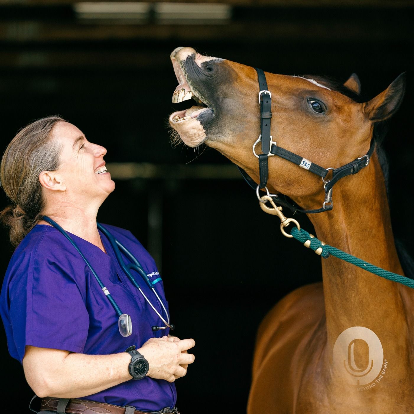 Ep. 110: When to Call the Vet – What Horse Owners Need to Know About Equine Emergencies with Dr. Erica Lacher Ep. 110: When to Call the Vet – What Horse Owners Need to Know About Equine Emergencies with Dr. Erica Lacher