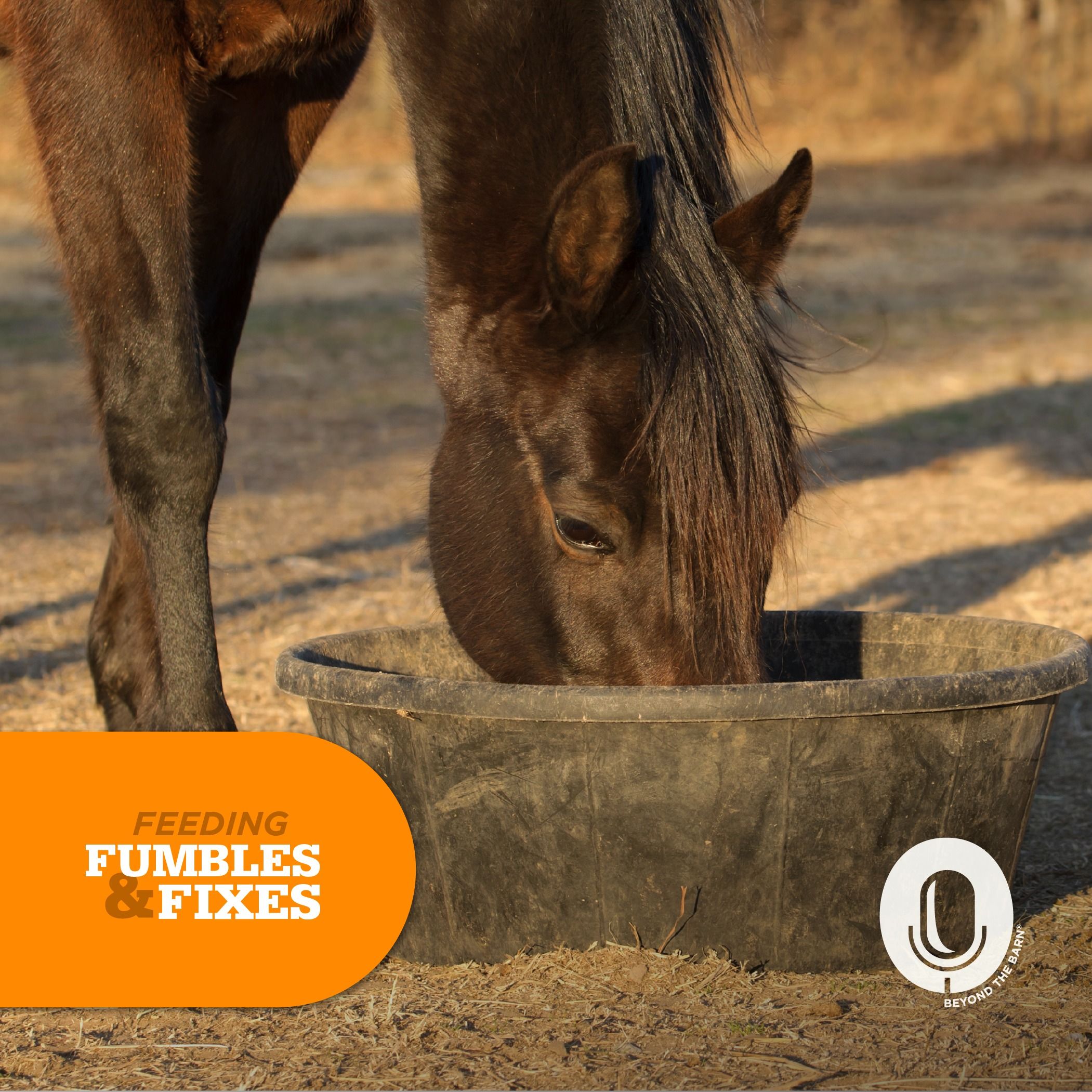 Ep. 120: 4 Mistakes Horse Owners Make with Salt and Electrolytes episode artwork
