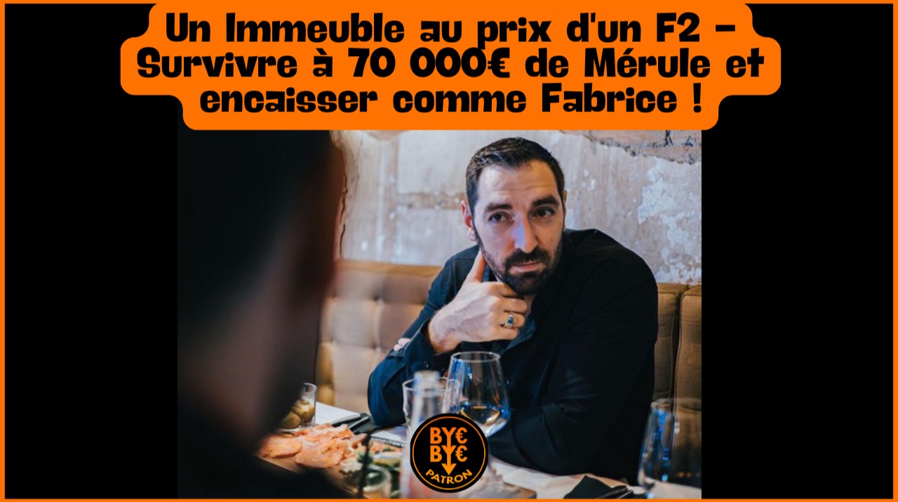 Un Immeuble au prix d'un F2 - Survivre à 70 000€ de Mérule et encaisser comme Fabrice !
