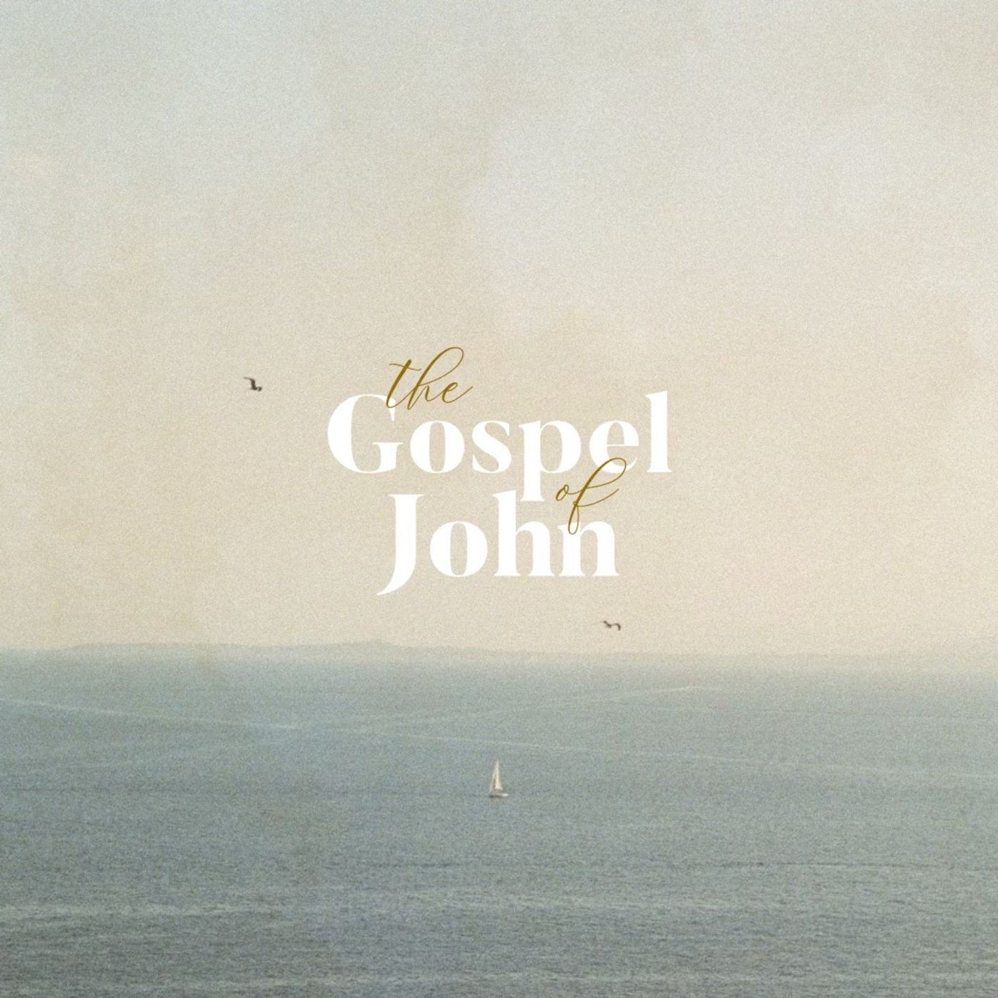 Counterculture Jesus - John - June 2nd, 2024