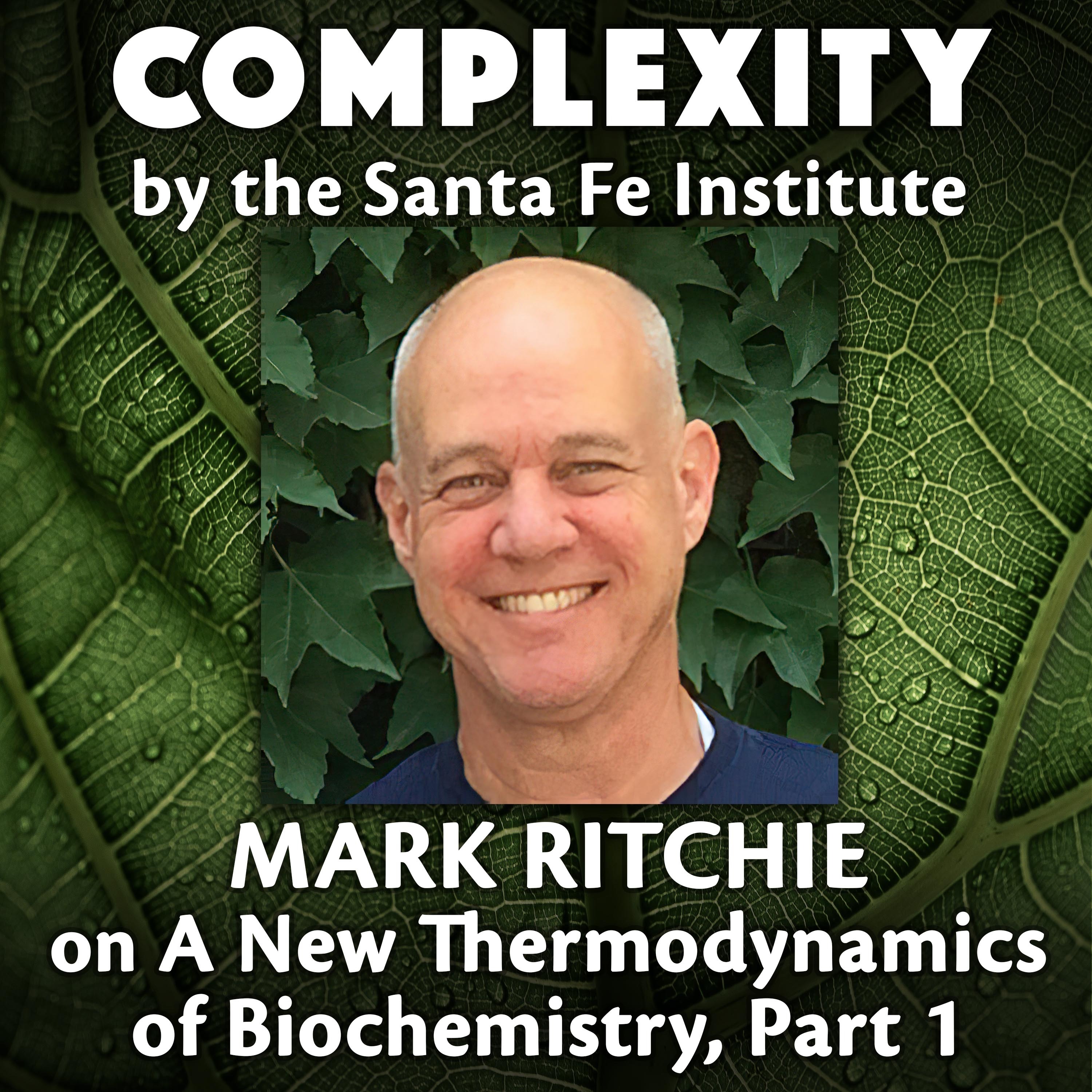 Mark A Ritchie COMPLEXITY