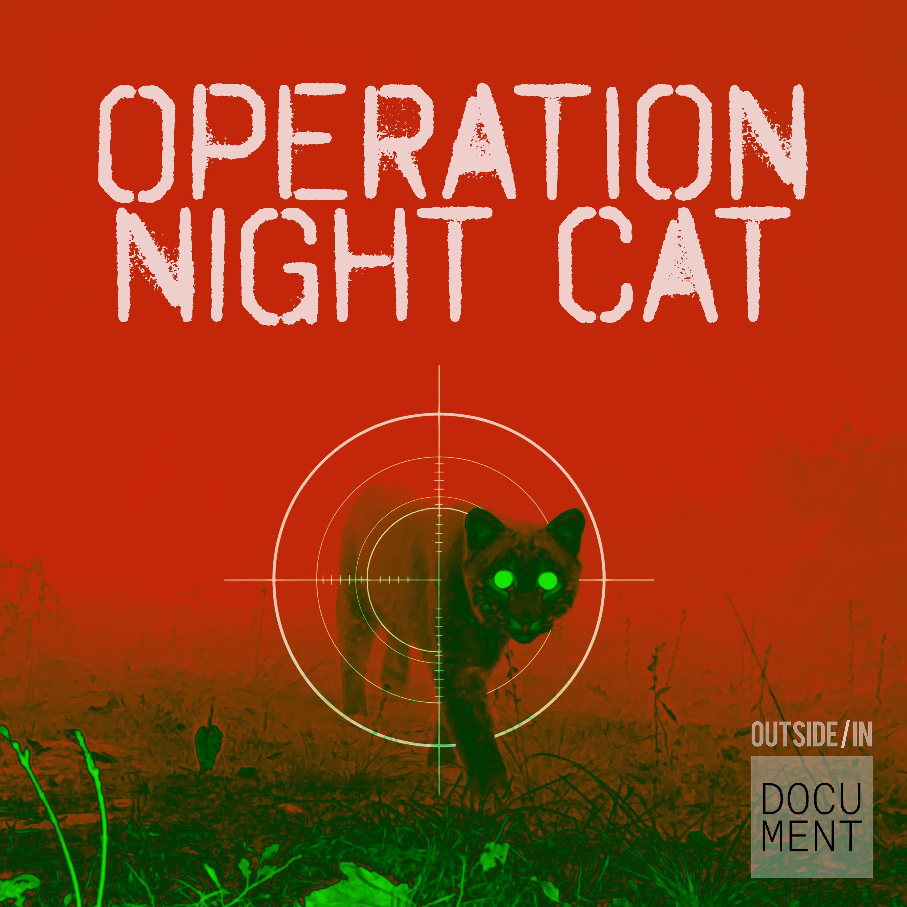Operation Night Cat, Episode 1: Why Did the Deer Cross the Road?