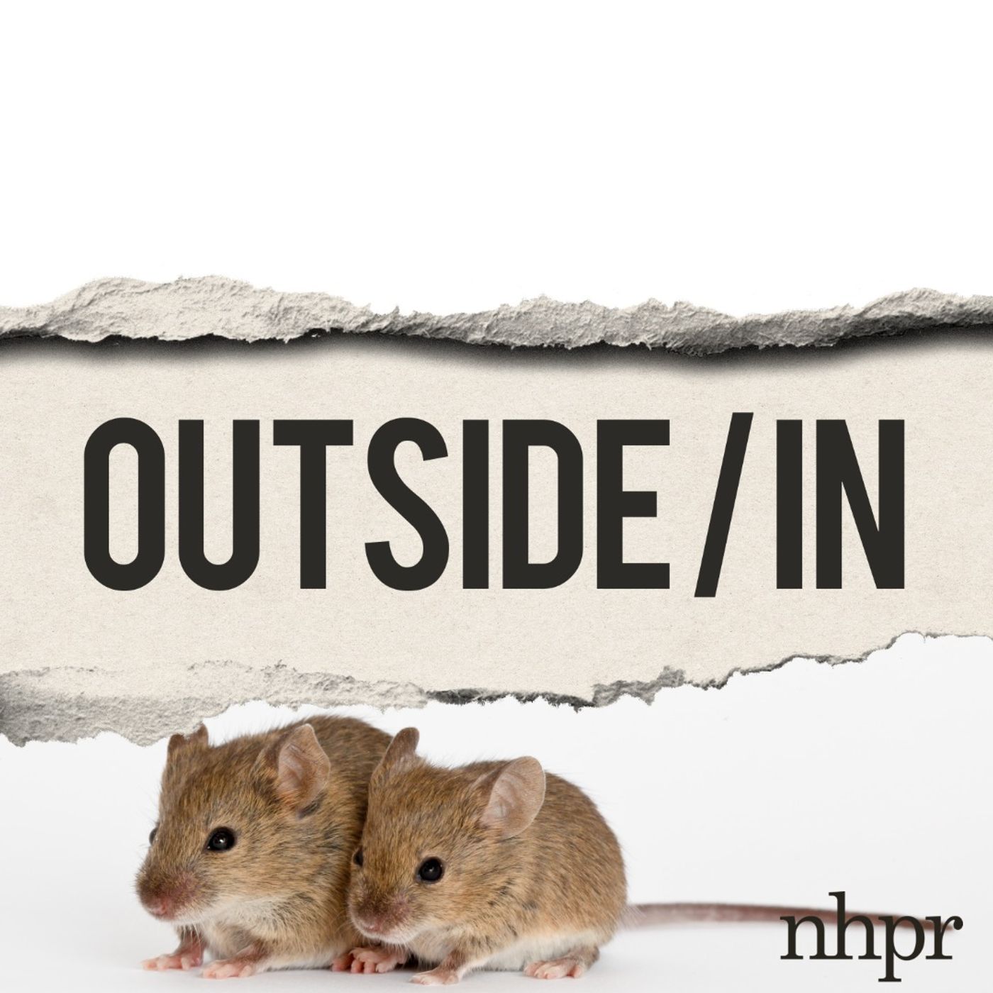 Of Men and Mice Of Men and Mice