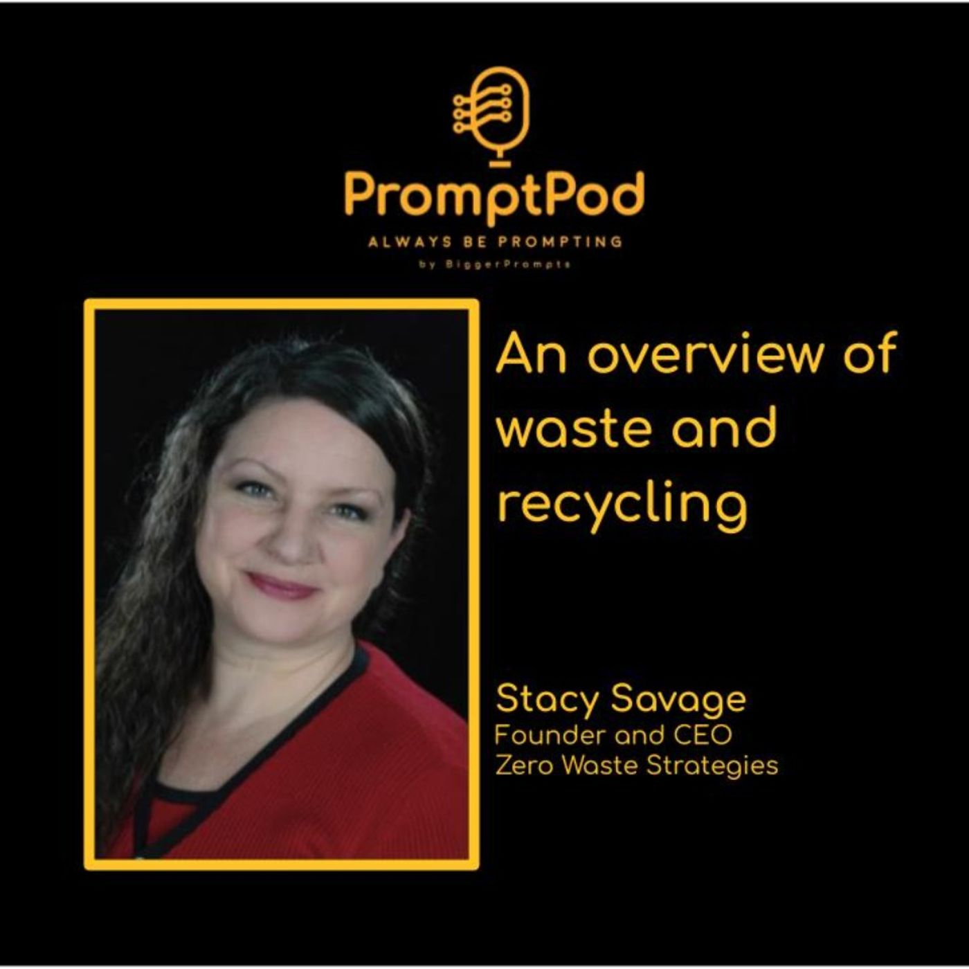 #53. An overview of waste and recycling