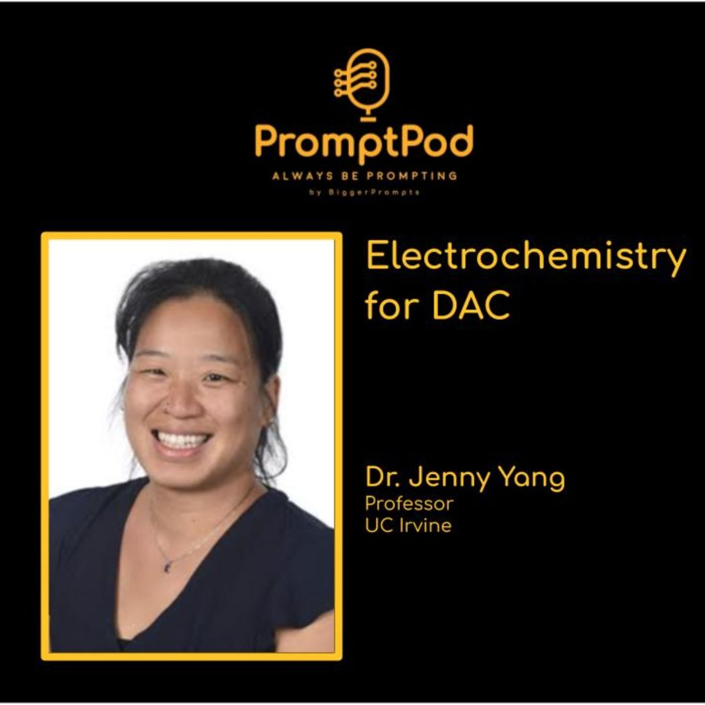 #59. Electrochemistry for DAC