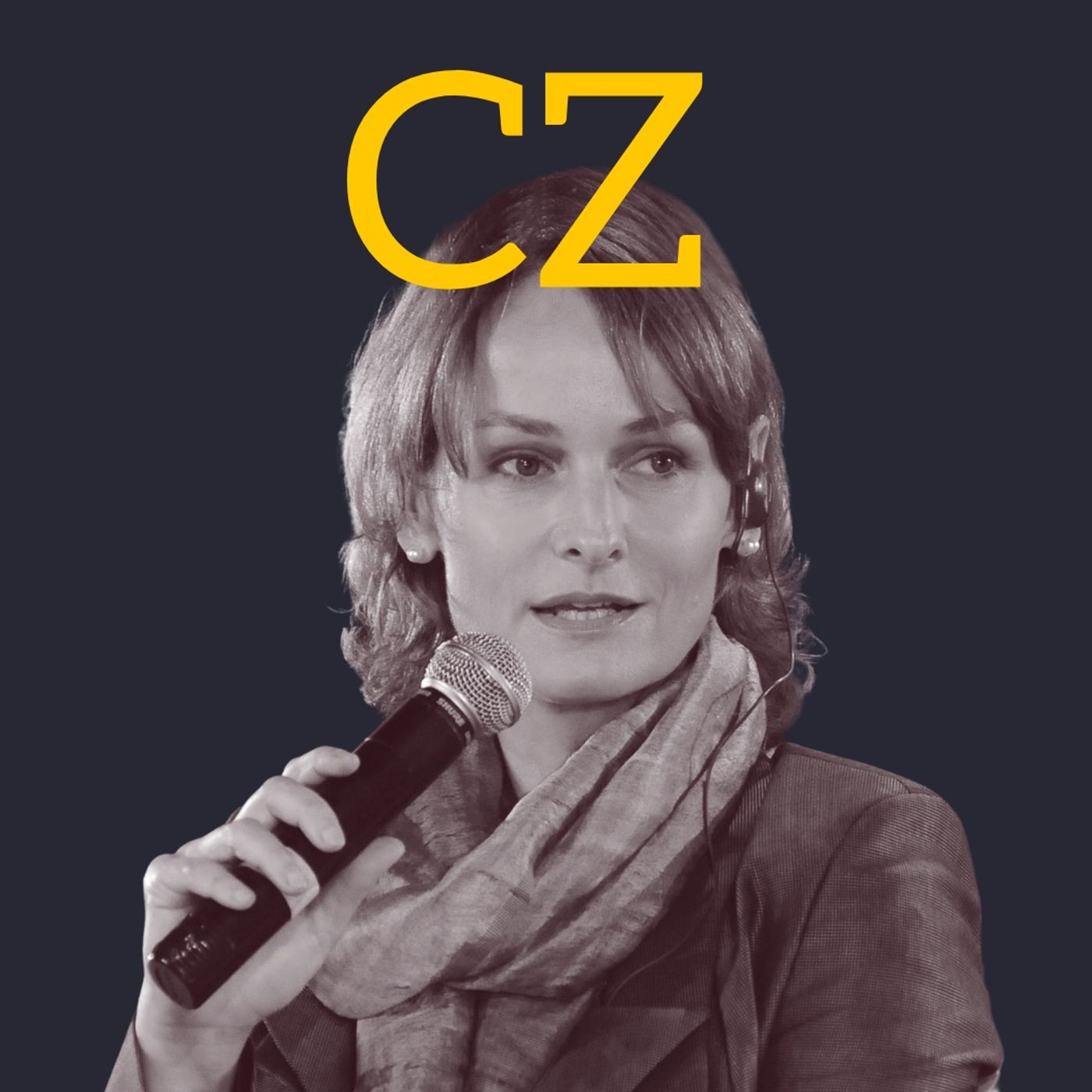 Trends in Global Private Equity and Venture Capital and Advice for Breaking into Private Equity or Venture Capital from INSEAD Professor Claudia Zeisberger