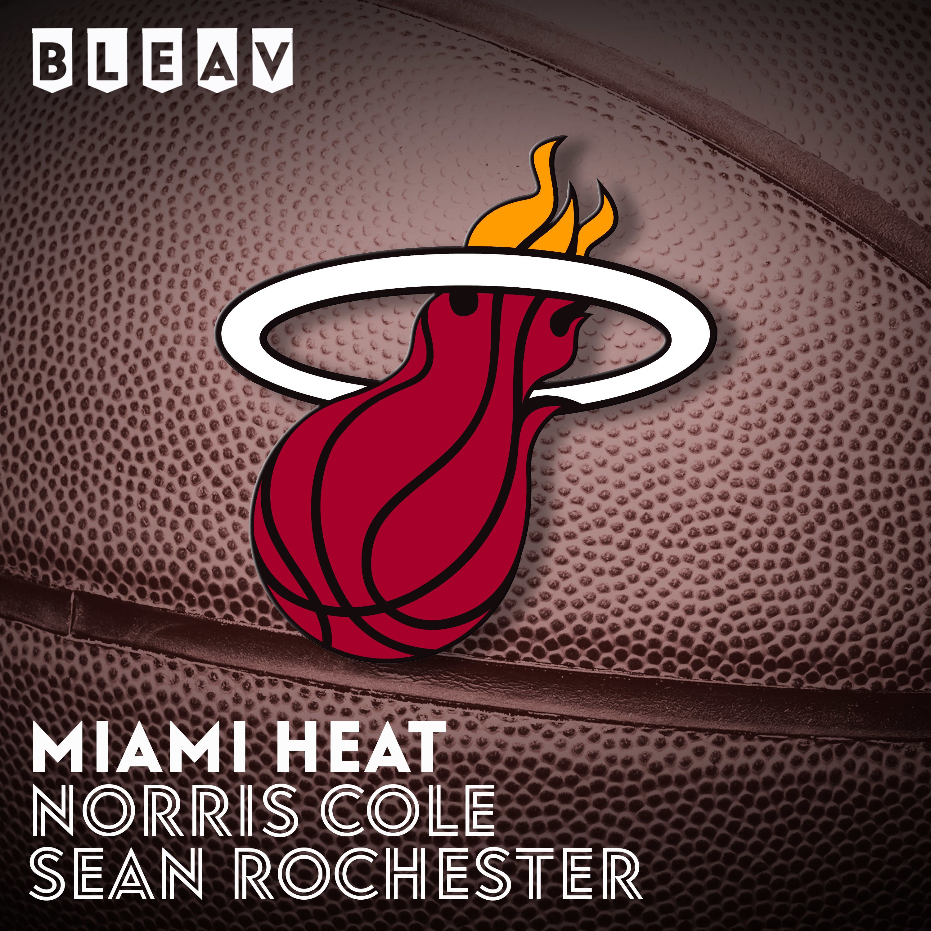 Bleav in Miami Heat