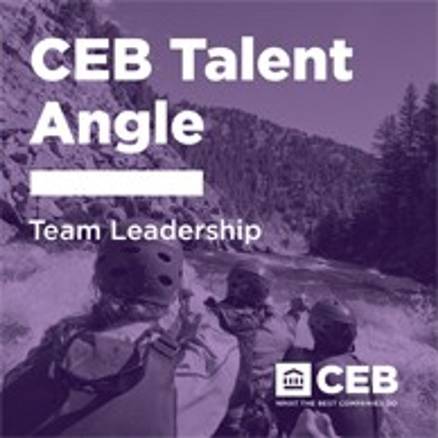 Team Leadership