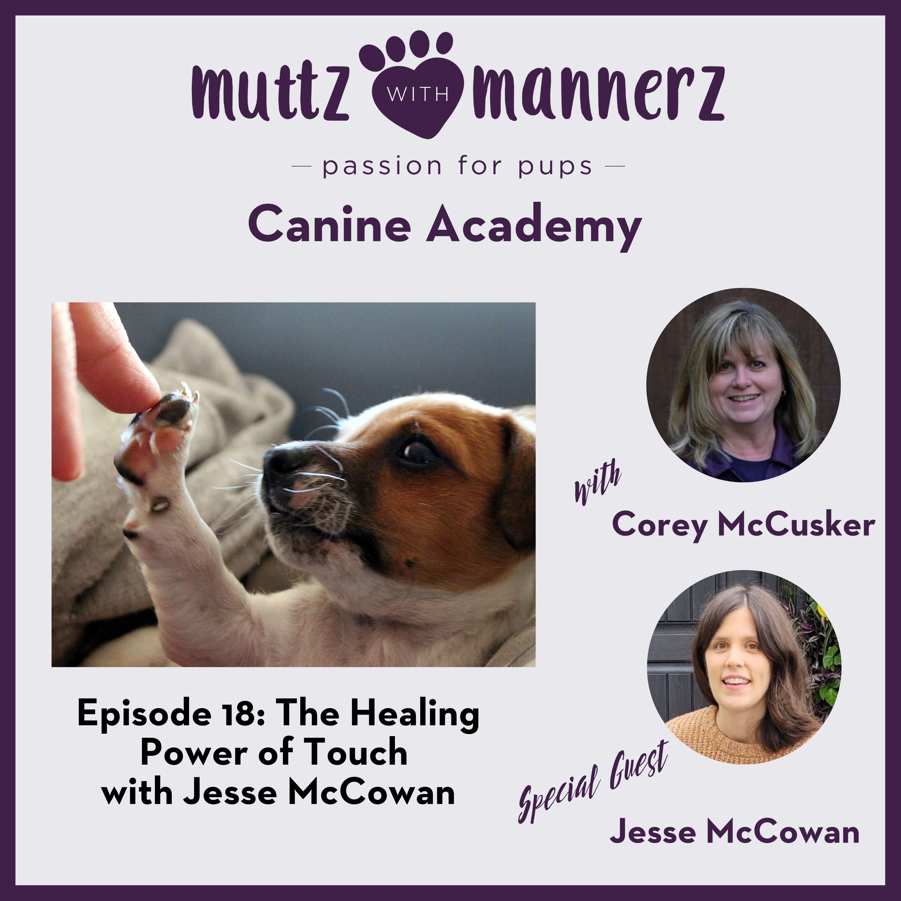 The Healing Power of Touch with Jesse McCowan