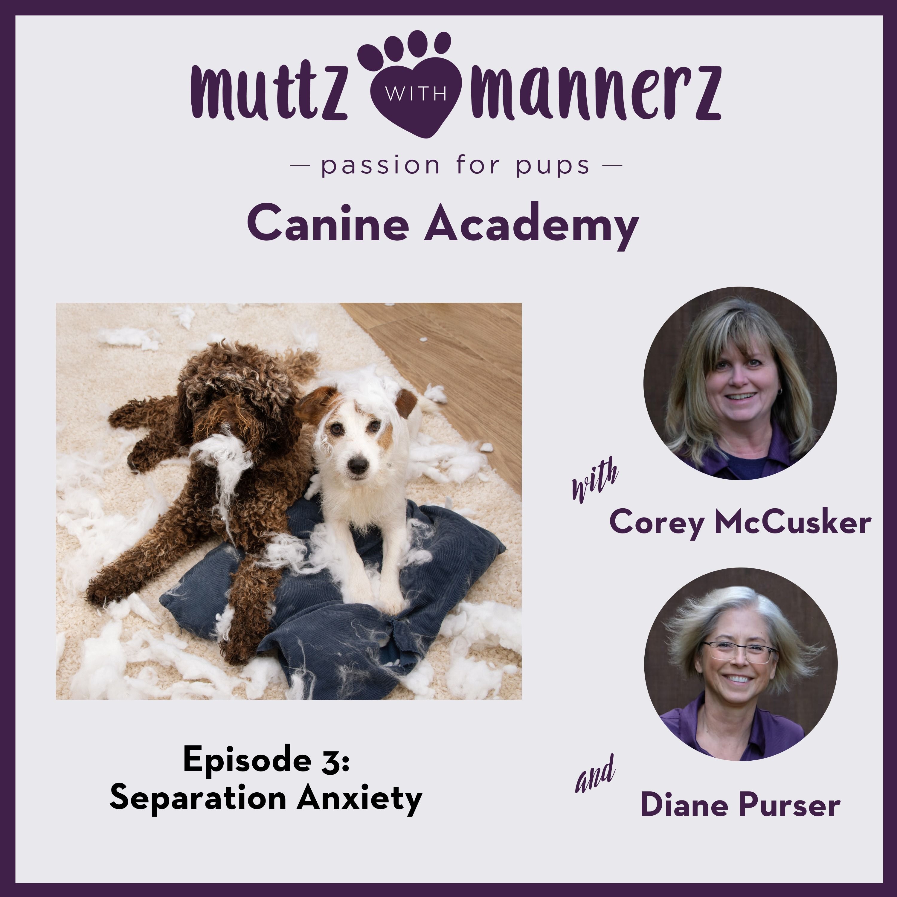 Muttz with Mannerz Canine Academy