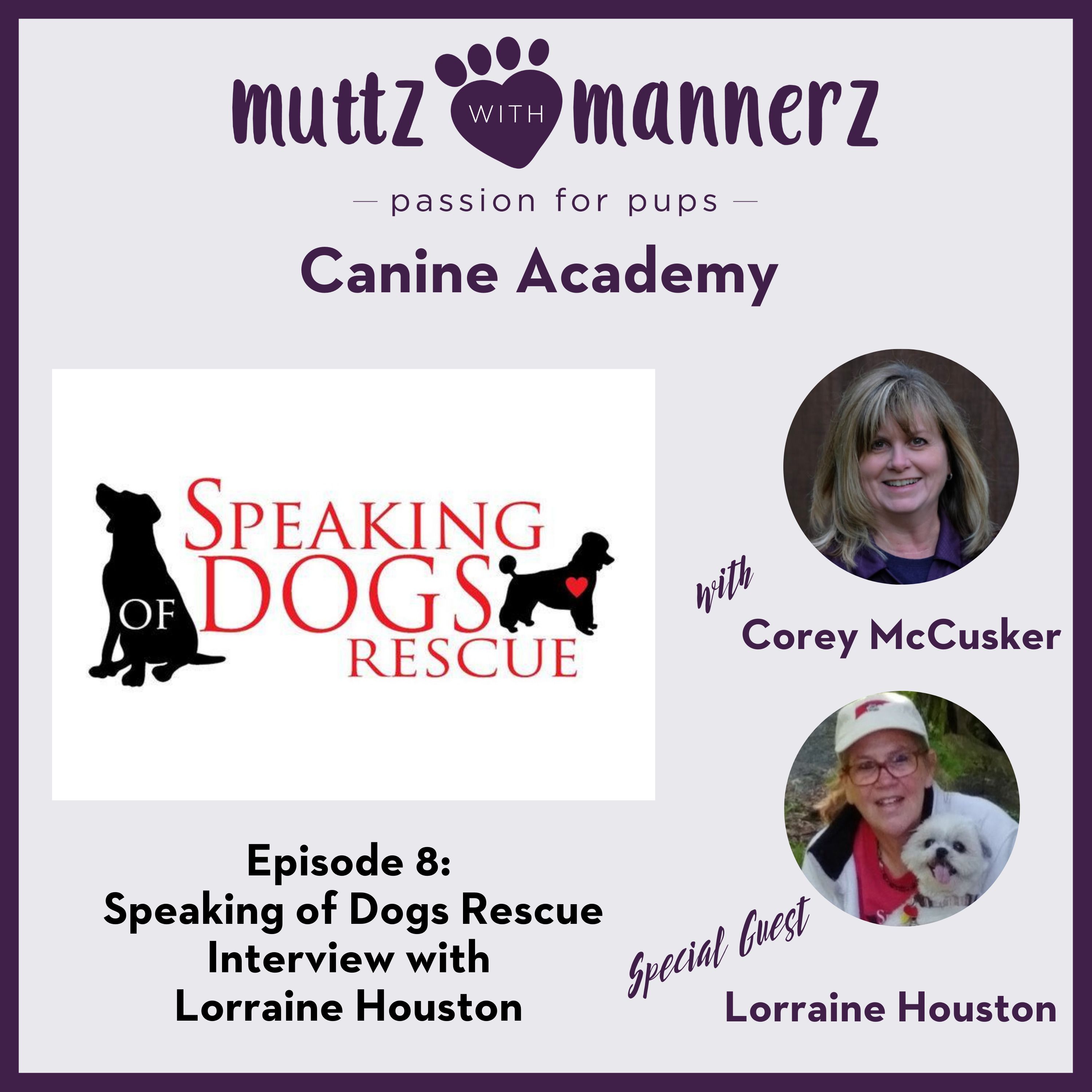 Speaking of Dogs Rescue - Interview with Lorraine Houston