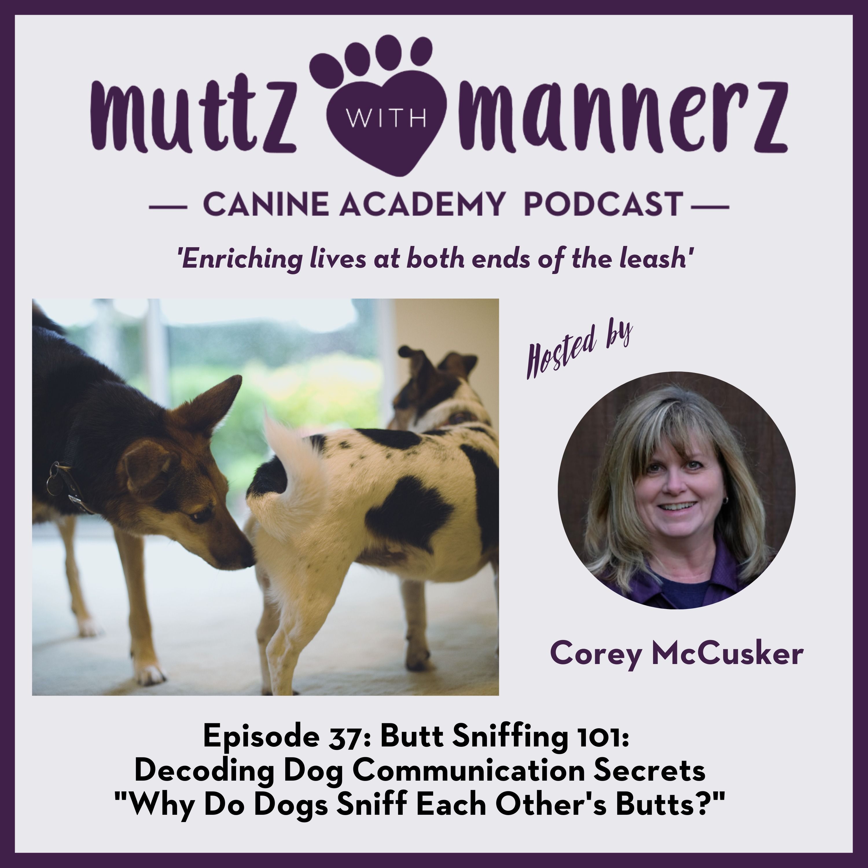 Episode 37: Butt Sniffing 101: Decoding Dog Communication Secrets  