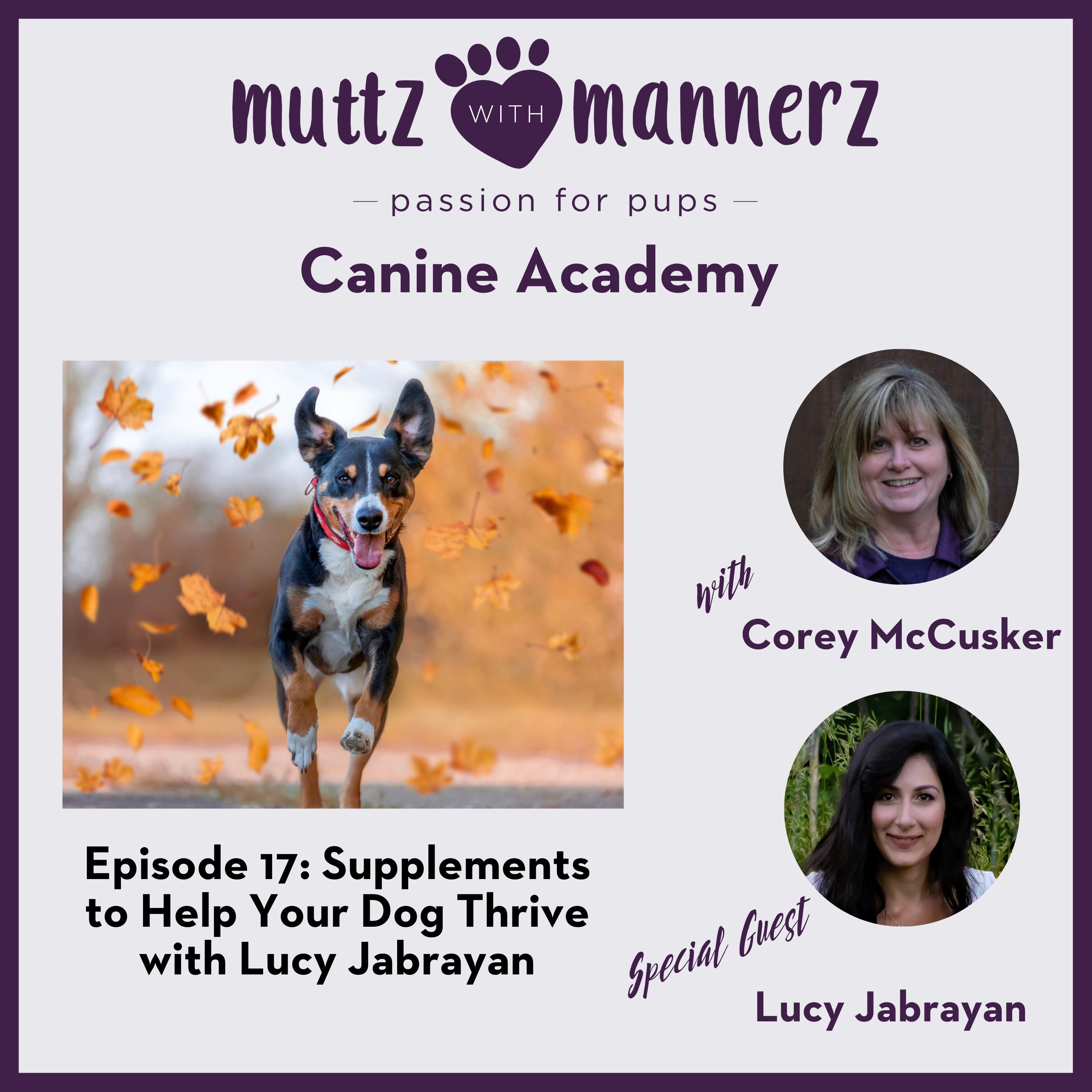 Supplements to Help Your Dog Thrive with Lucy Jabrayan