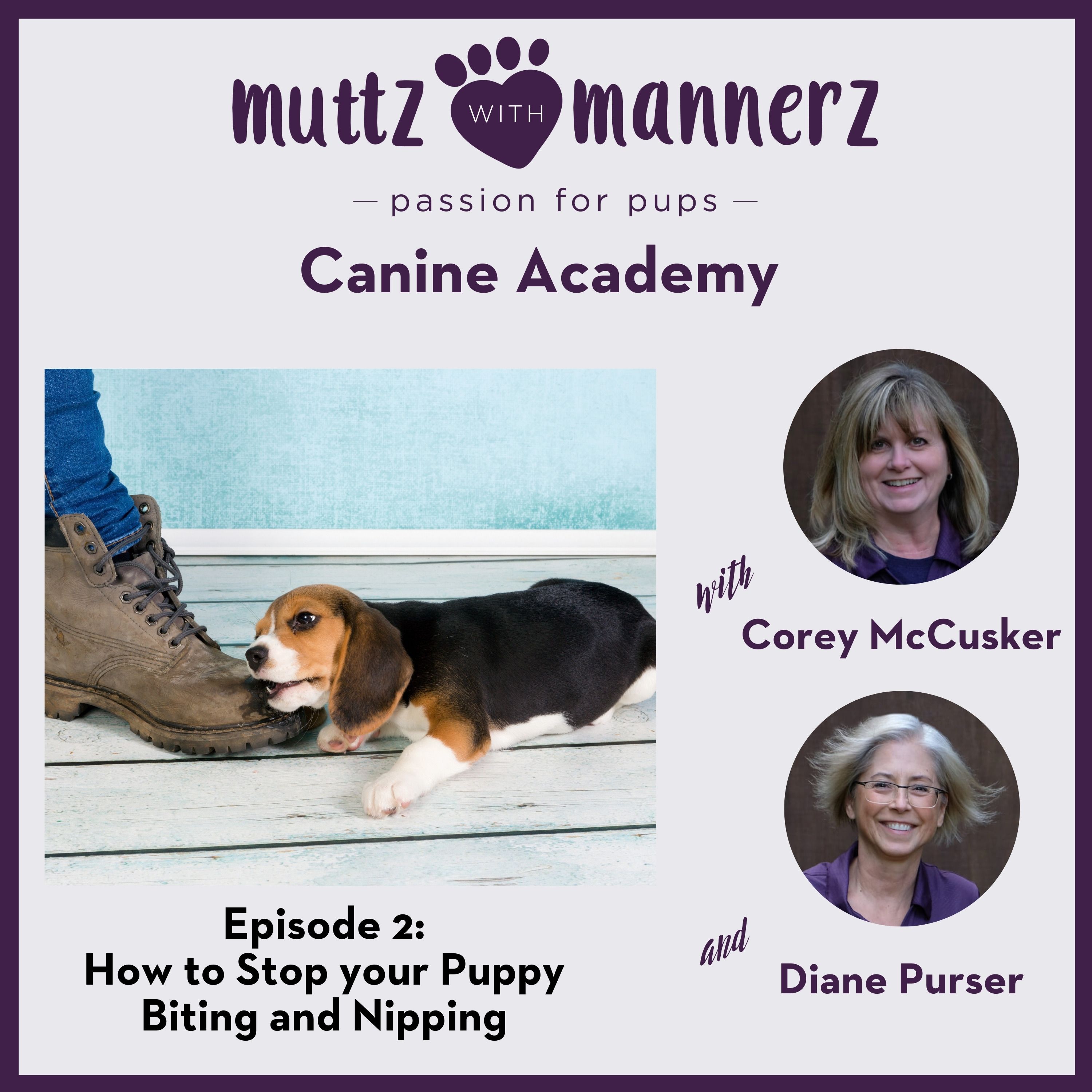 Muttz with Mannerz Canine Academy