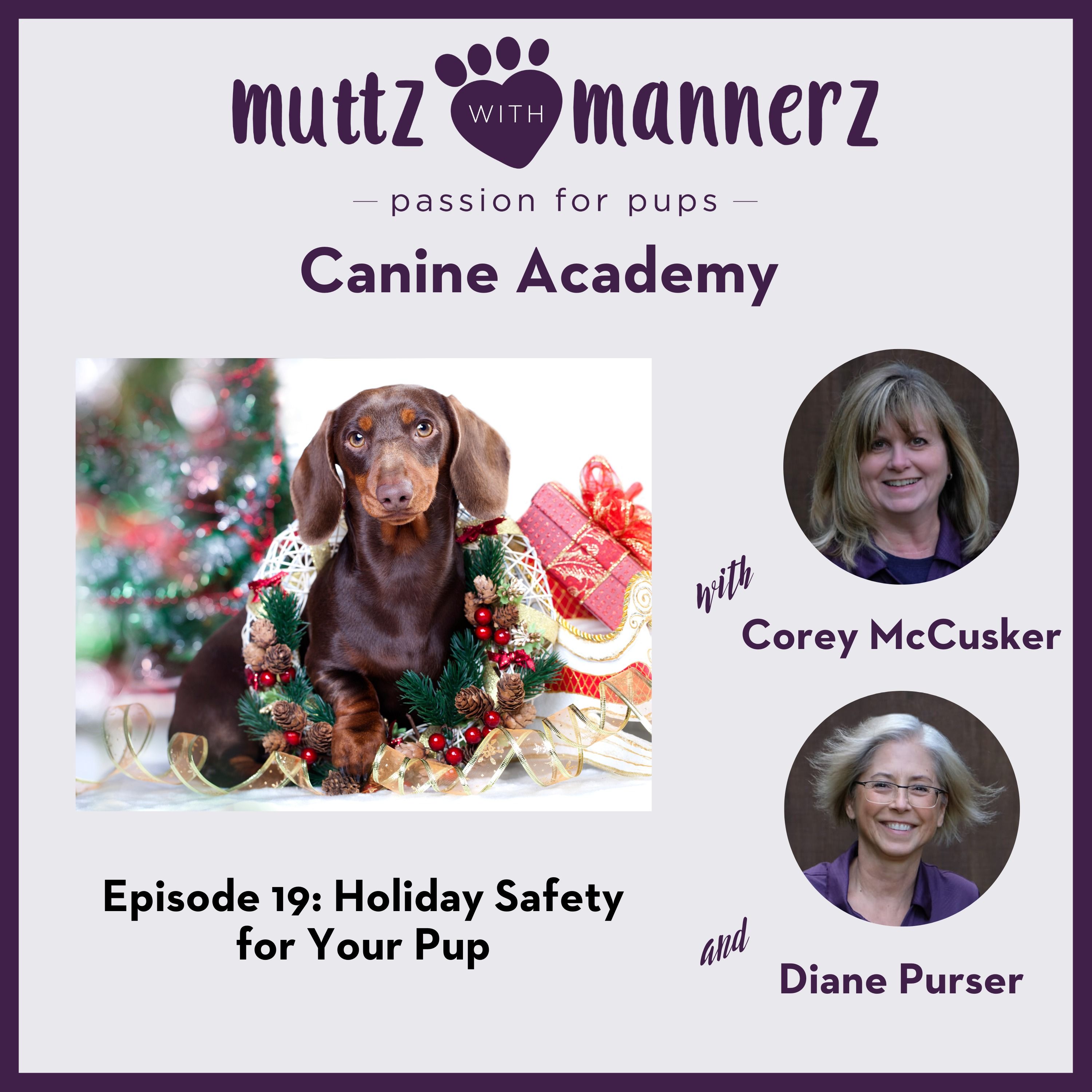 Holiday Safety for Your Pup