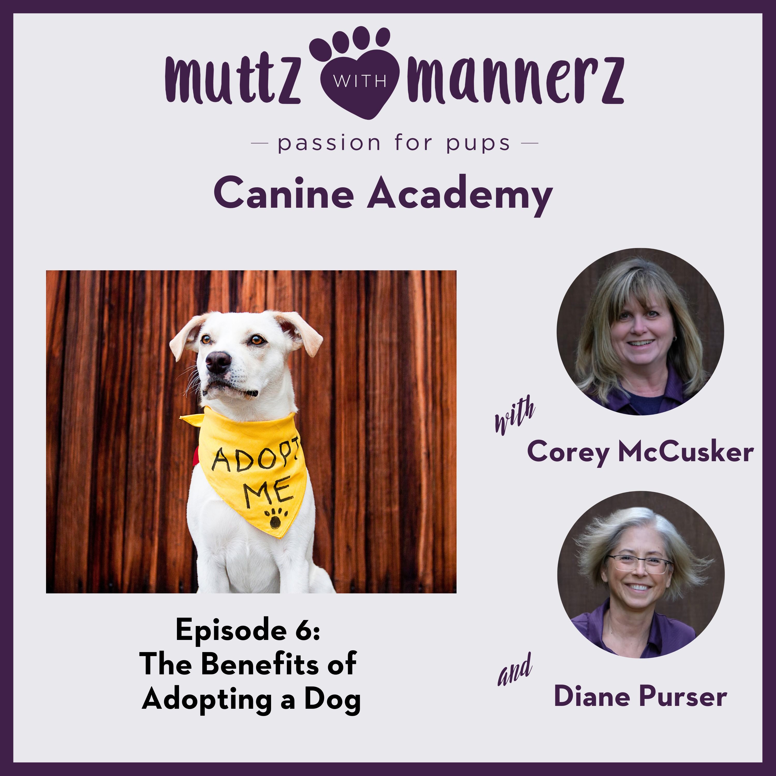 Muttz with Mannerz Canine Academy