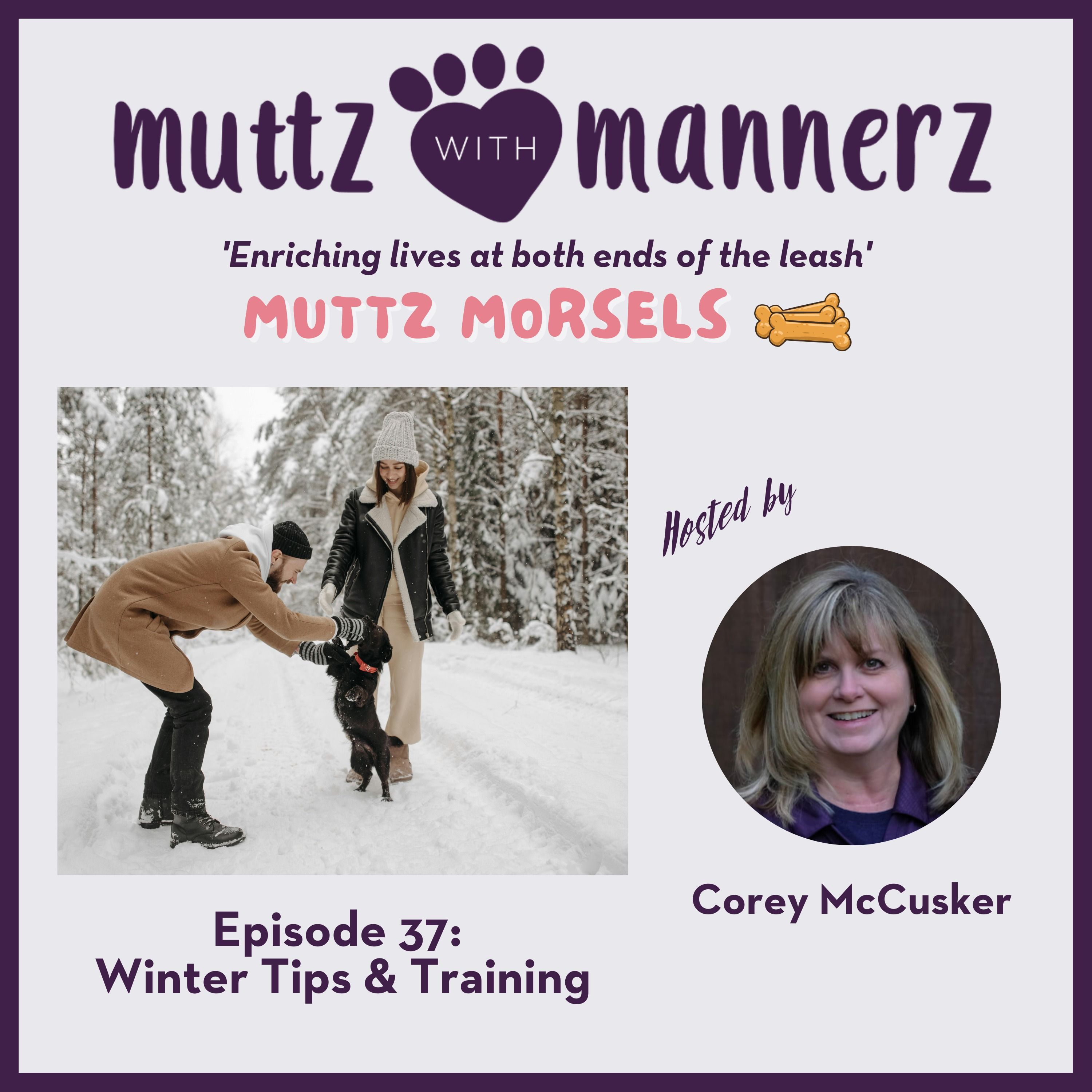 Muttz with Mannerz Canine Academy