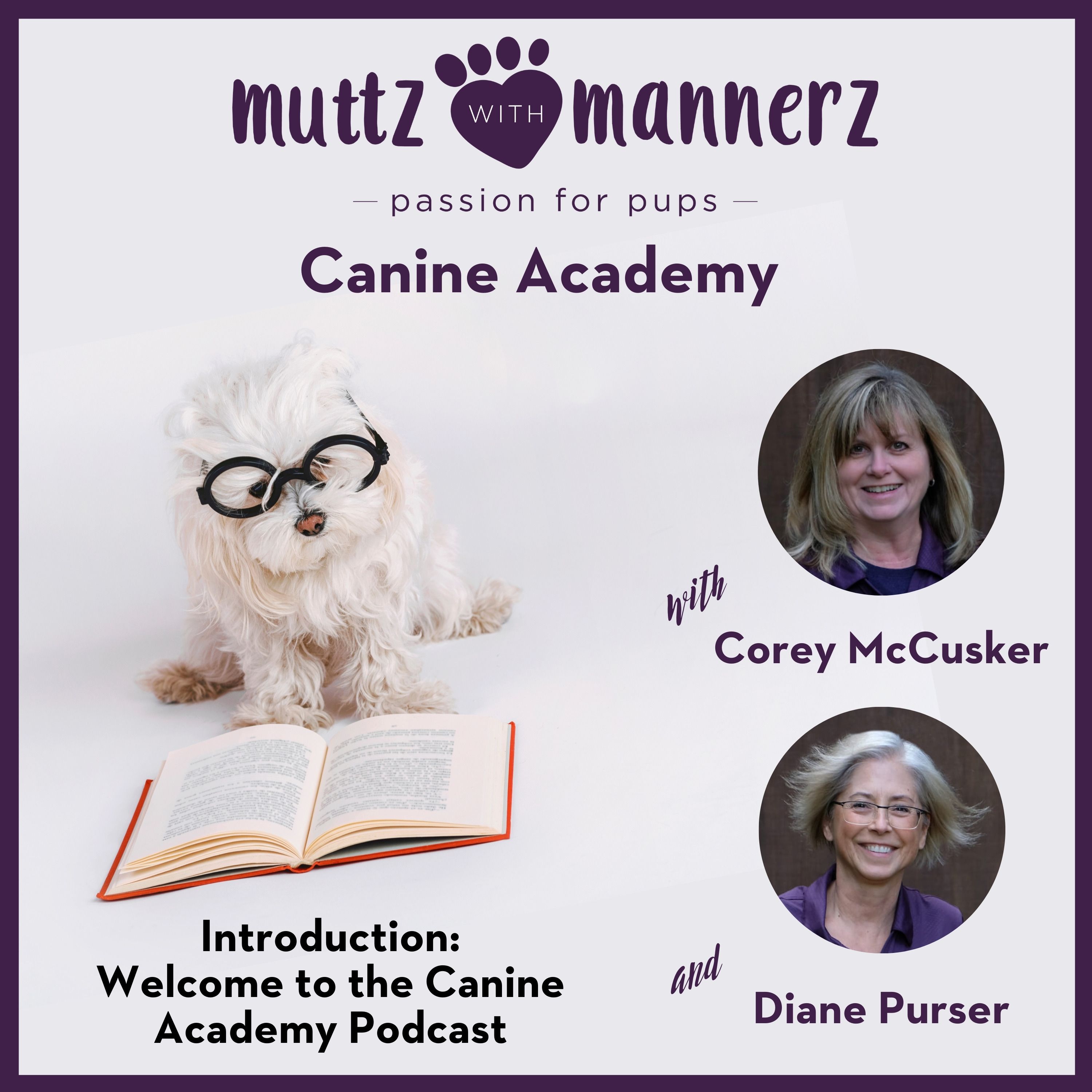 Muttz with Mannerz Canine Academy