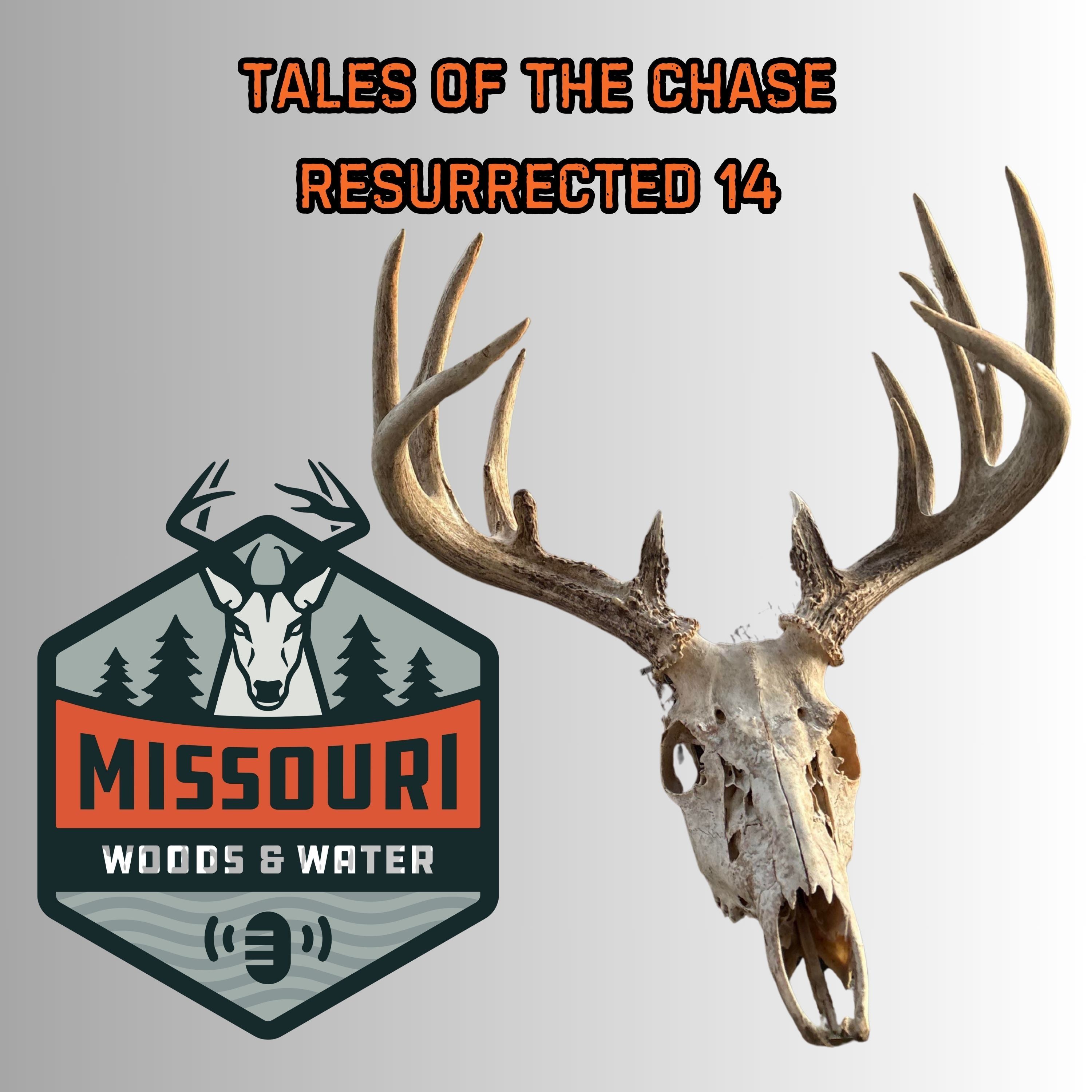 Tales of the Chase: Resurrected 14 - Ep 308 episode artwork