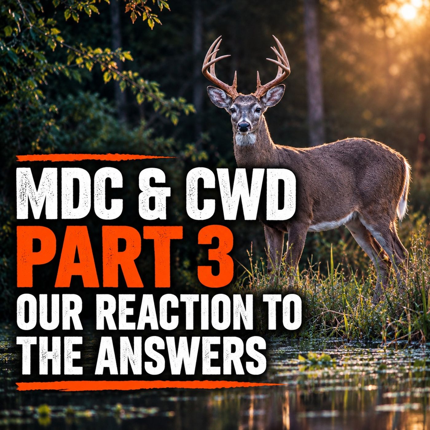 MDC & CWD - Part 3 - Our Reaction To The Answers - Ep 339 episode artwork