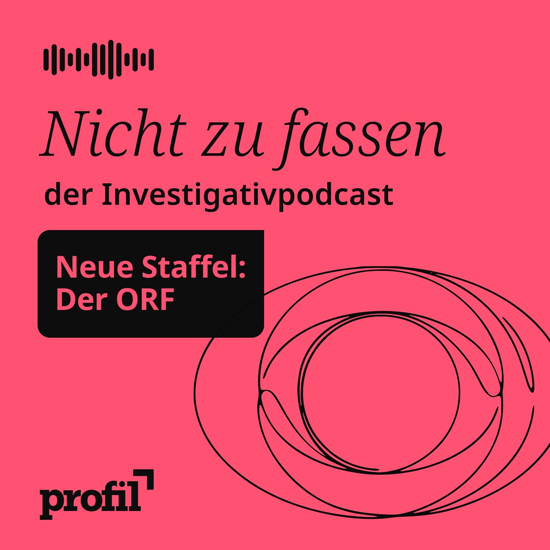 Der Fall Weißmann: Macht, Sex und alte Rechnungen im ORF episode artwork